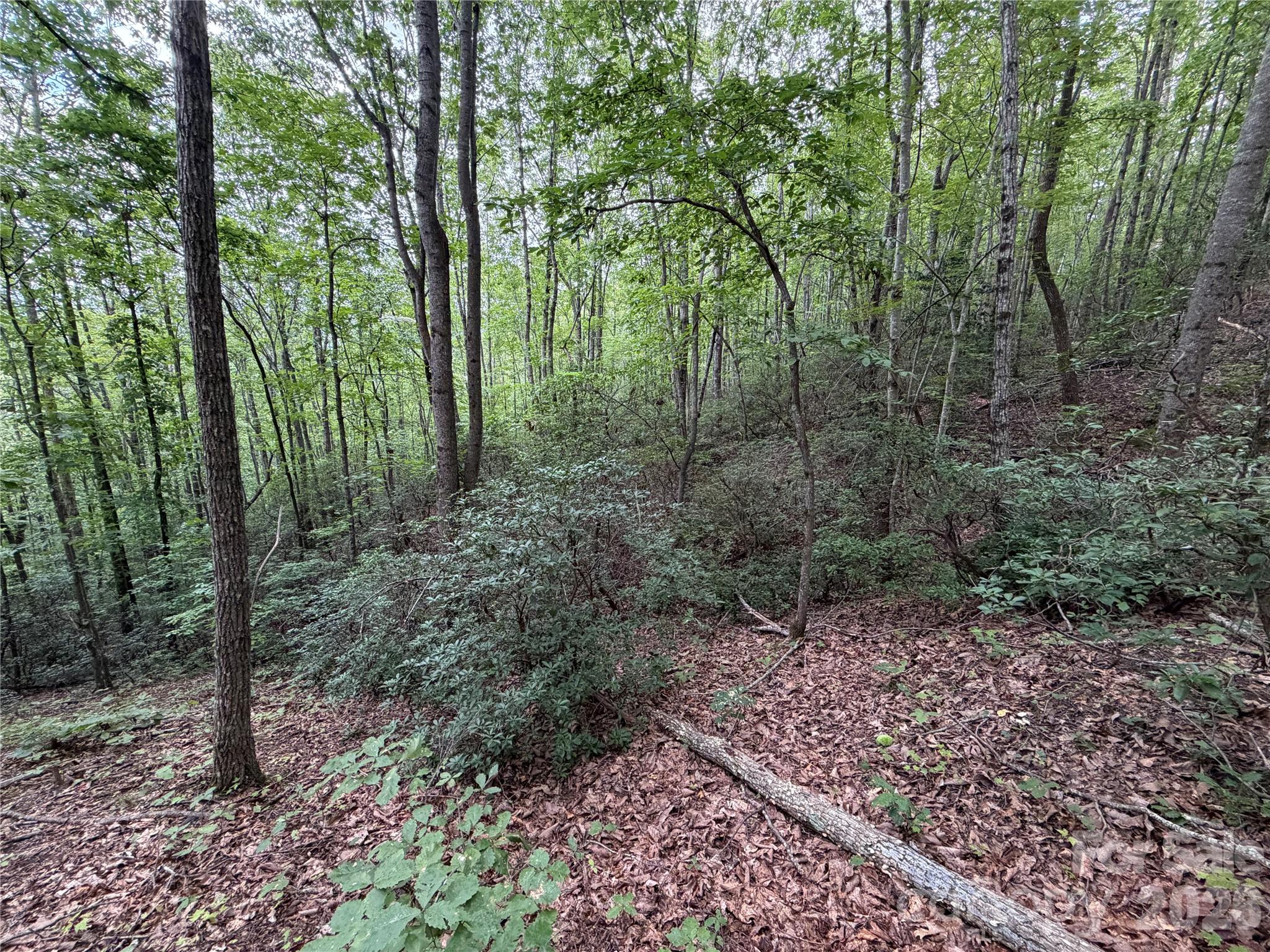 69 Idlewild Drive Property Photo 13