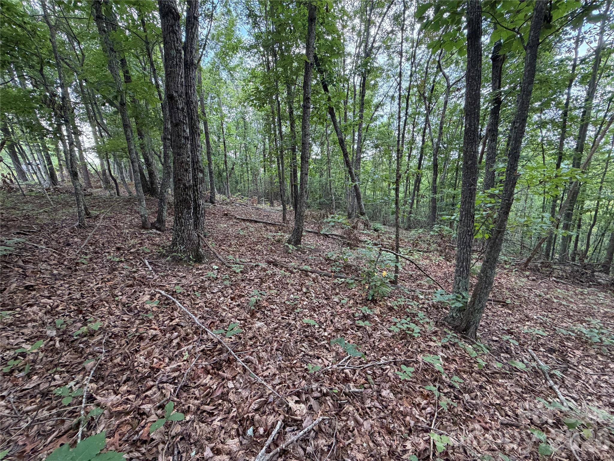 69 Idlewild Drive Property Photo 14