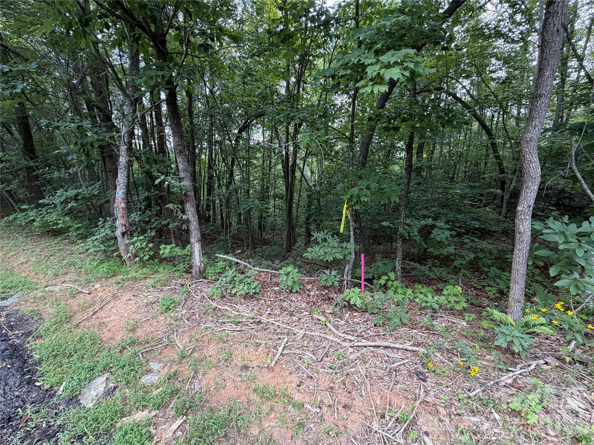 69 Idlewild Drive Property Photo 15