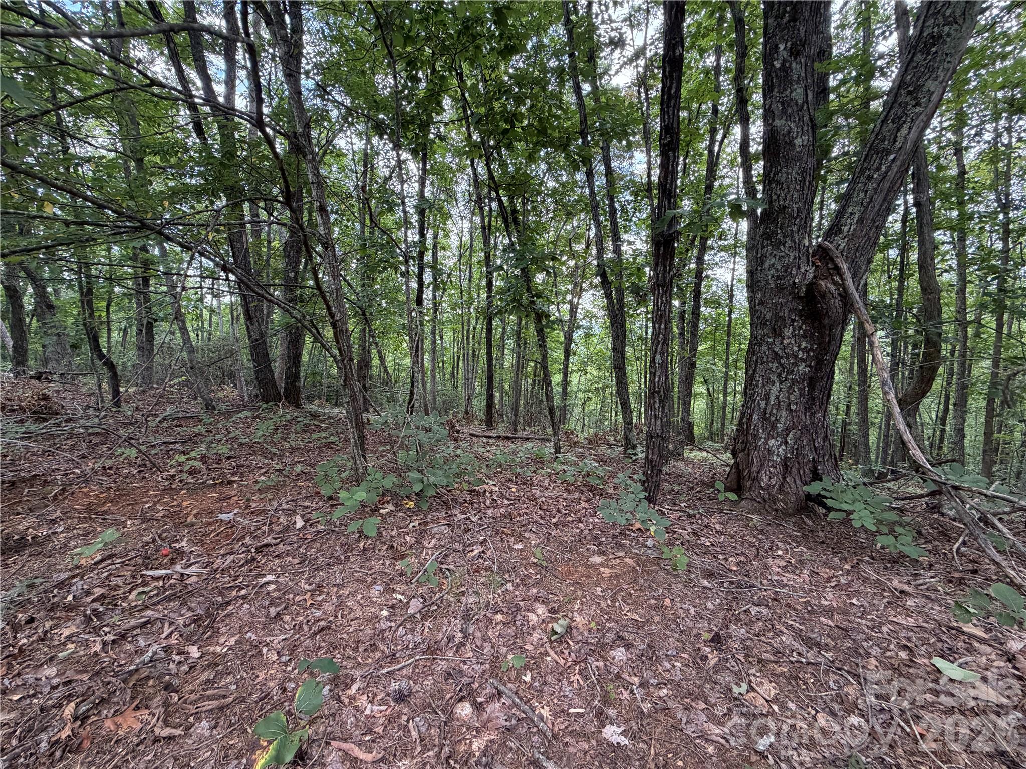 69 Idlewild Drive Property Photo 16