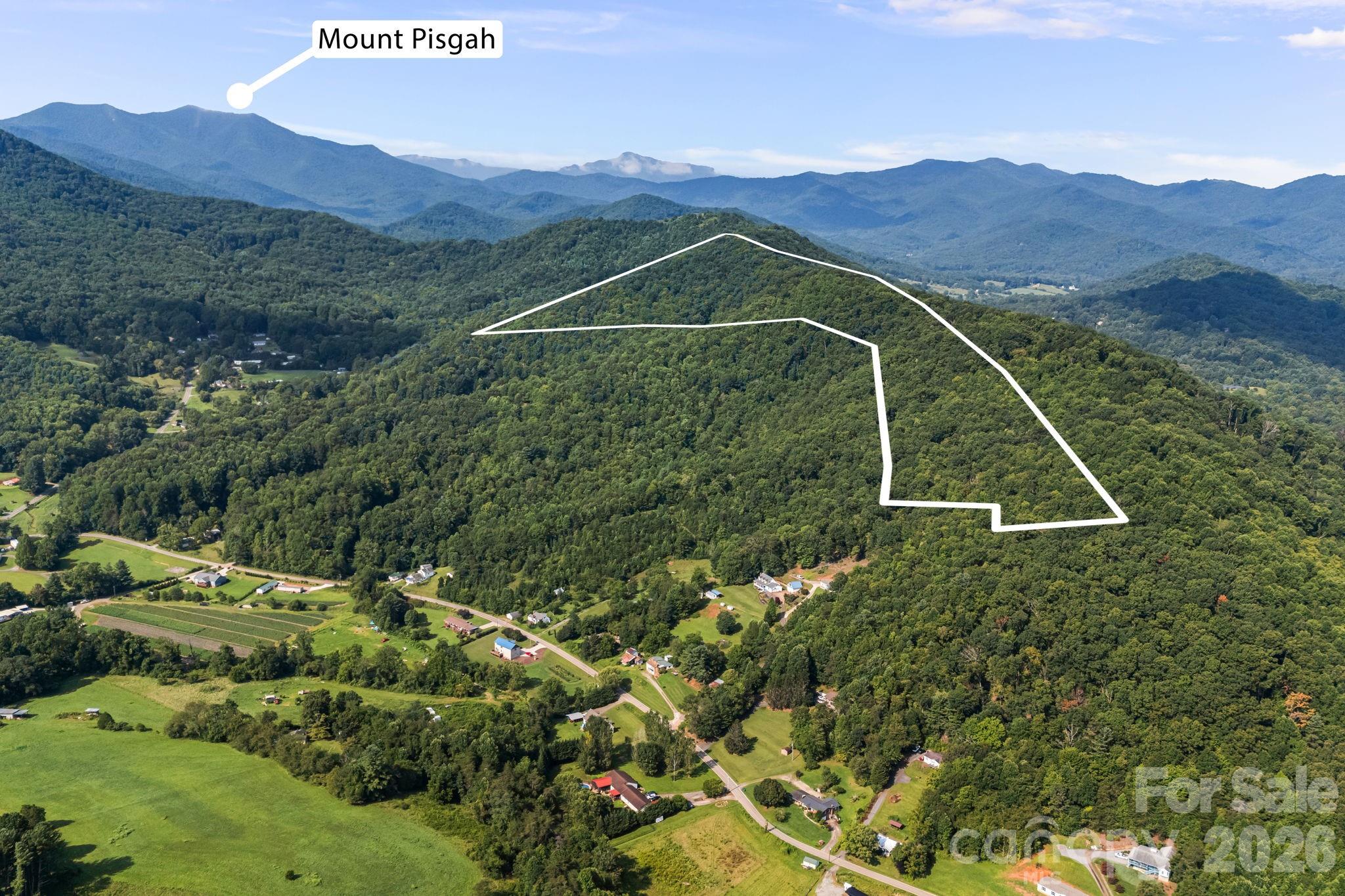 99999 Beaverdam Loop Road Property Photo 6