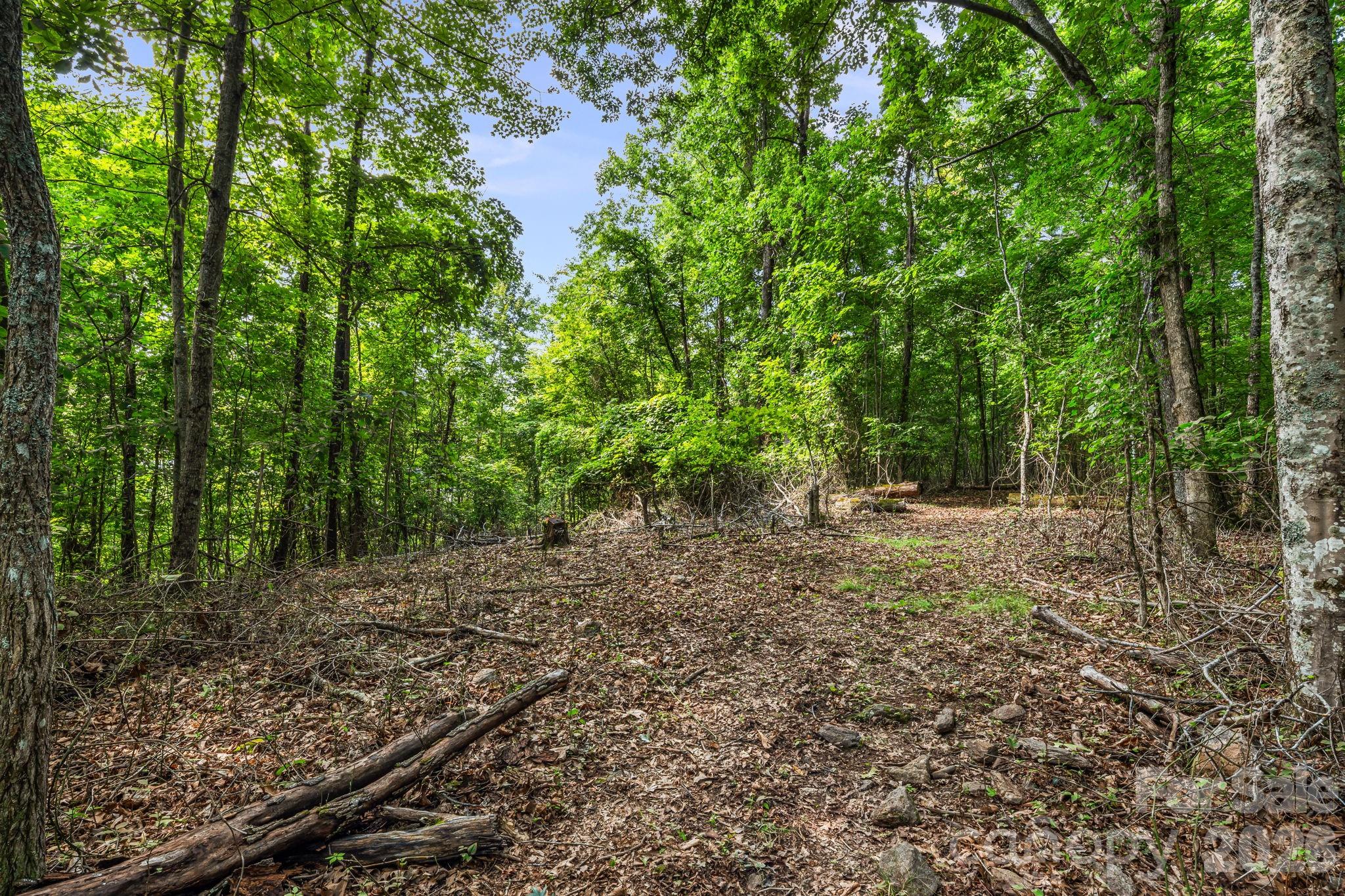 99999 Beaverdam Loop Road Property Photo 7
