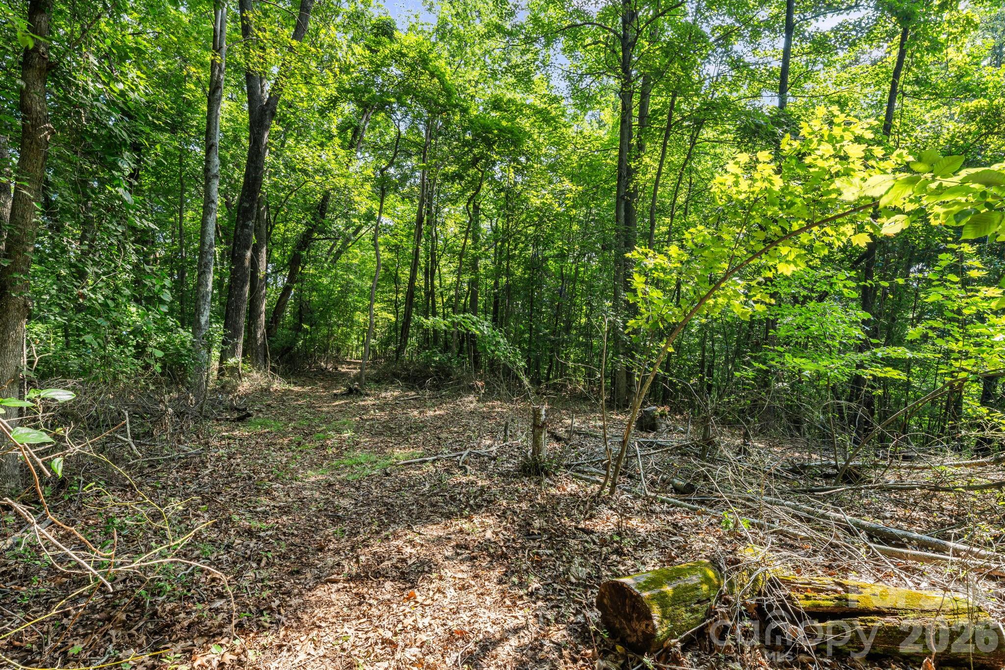 99999 Beaverdam Loop Road Property Photo 8
