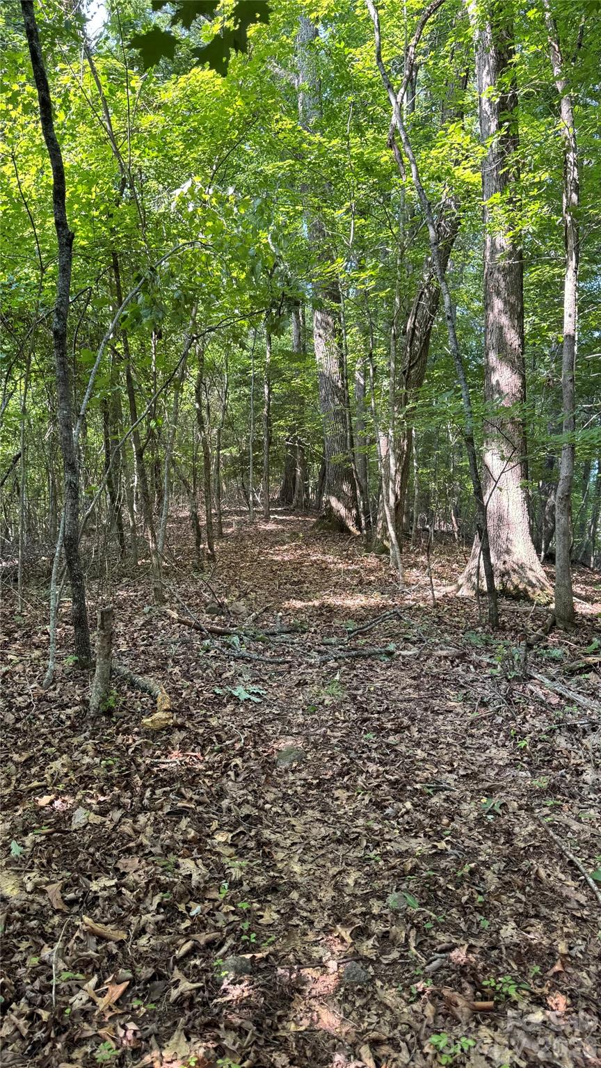 99999 Beaverdam Loop Road Property Photo 10