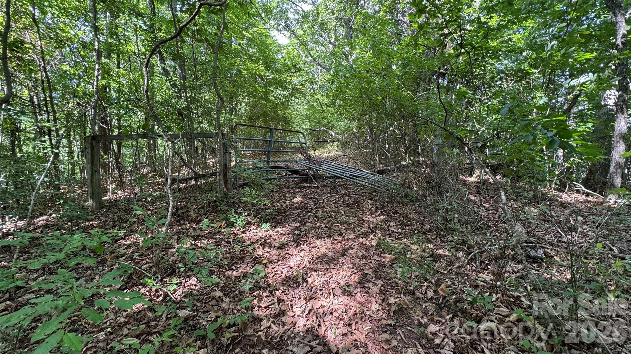 99999 Beaverdam Loop Road Property Photo 13