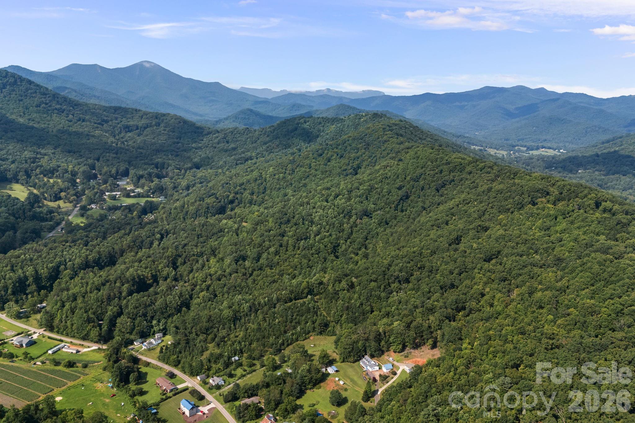 99999 Beaverdam Loop Road Property Photo 27