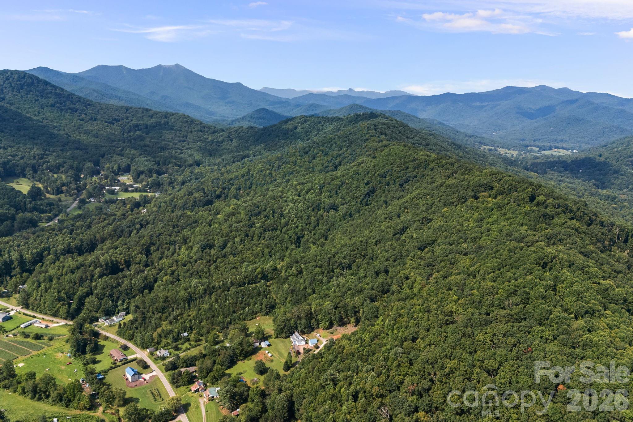 99999 Beaverdam Loop Road Property Photo 28