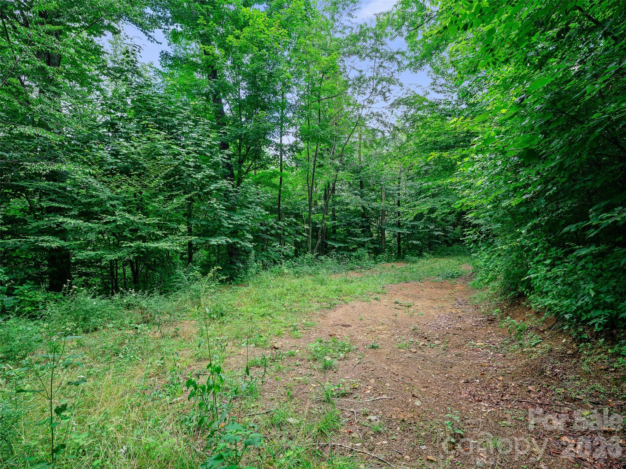 0 Ogle Meadows Road #81 Property Photo 17