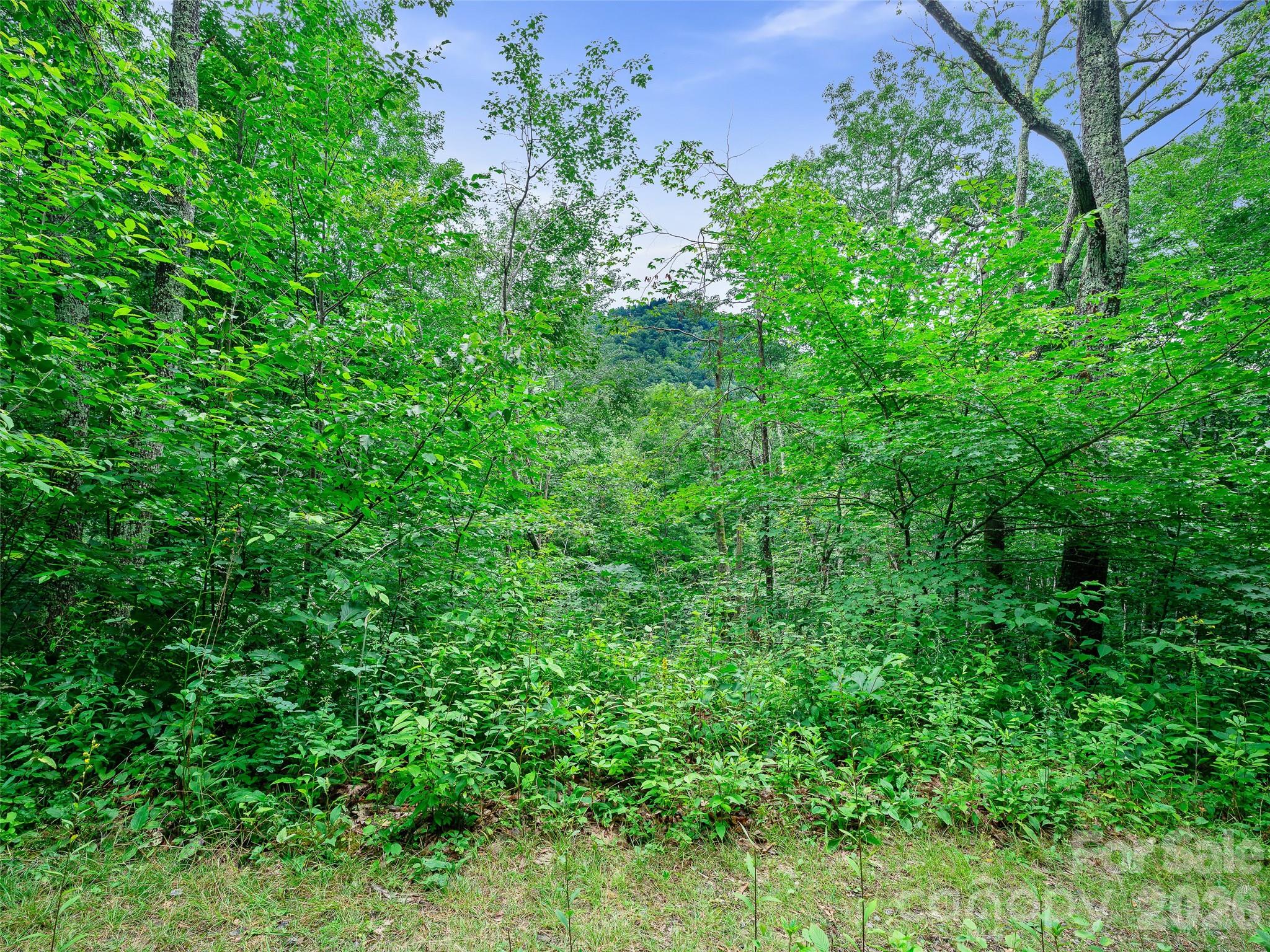 0 Ogle Meadows Road #81 Property Photo 19