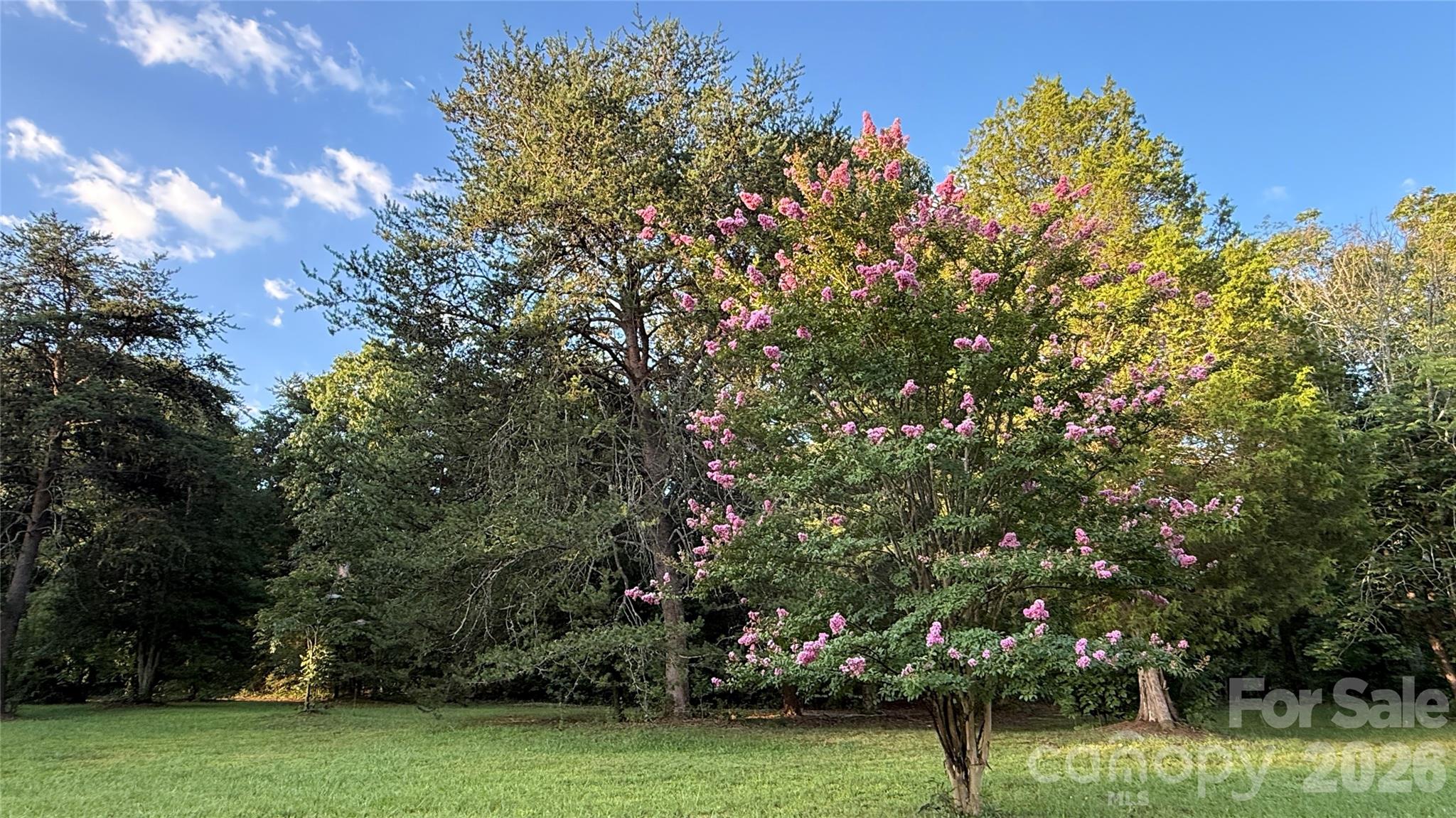 4584 E Nc 150 Highway Property Photo 4