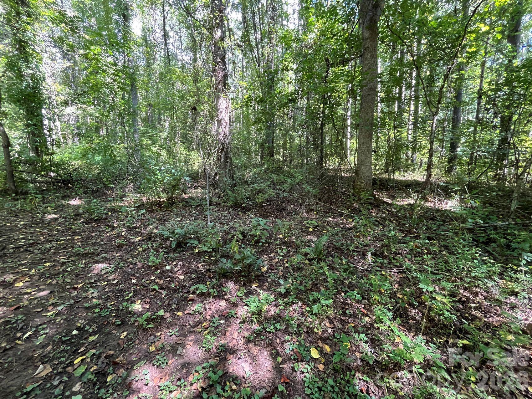 132 Hurd Road Property Photo 40