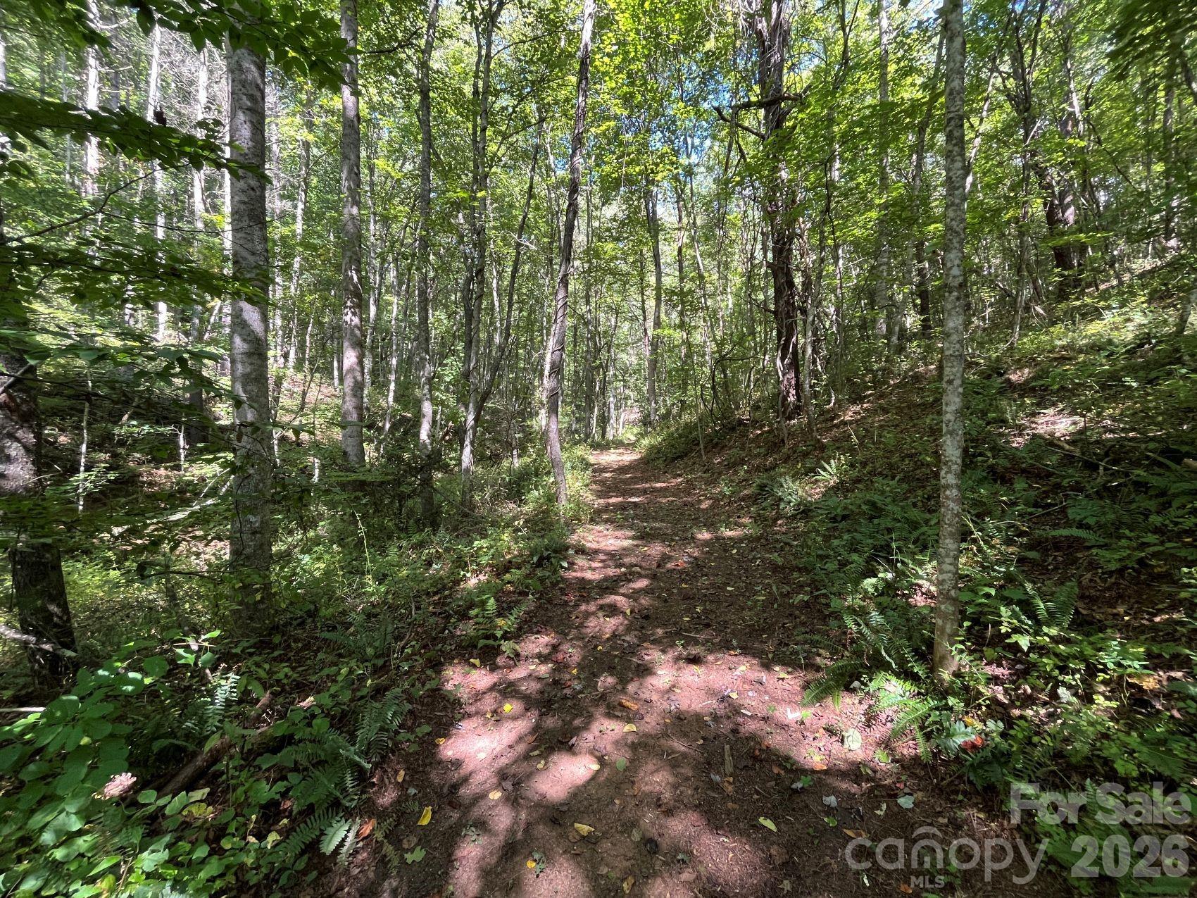 132 Hurd Road Property Photo 42