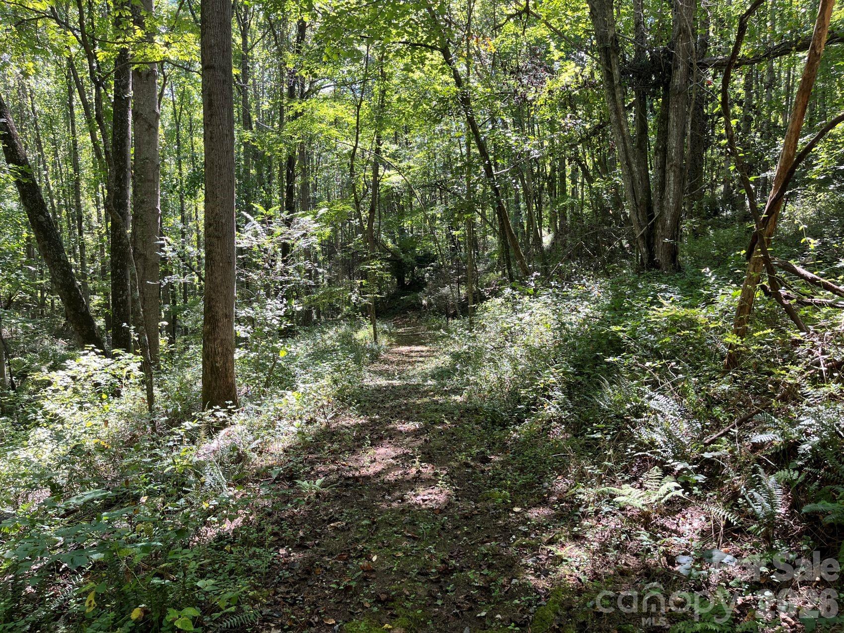 132 Hurd Road Property Photo 43