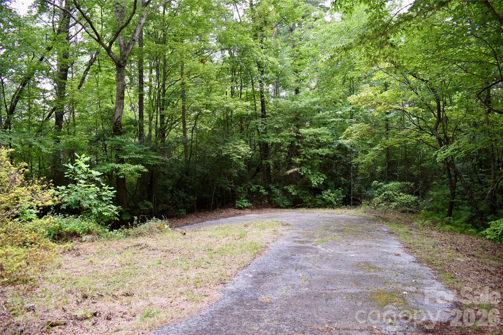 173 Mountain Haven Lane Property Photo 35