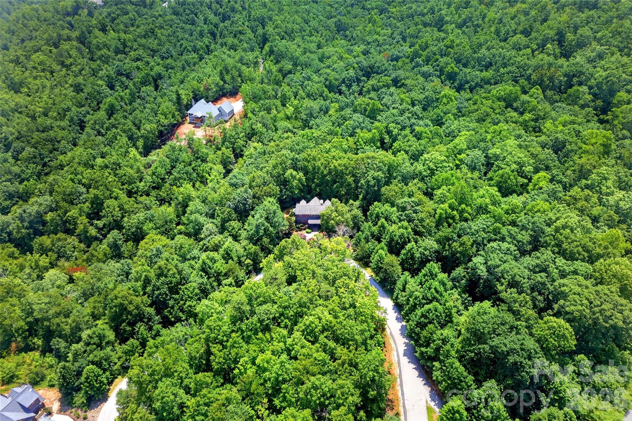 1767 Catawba Falls Parkway 238 Property Photo 43