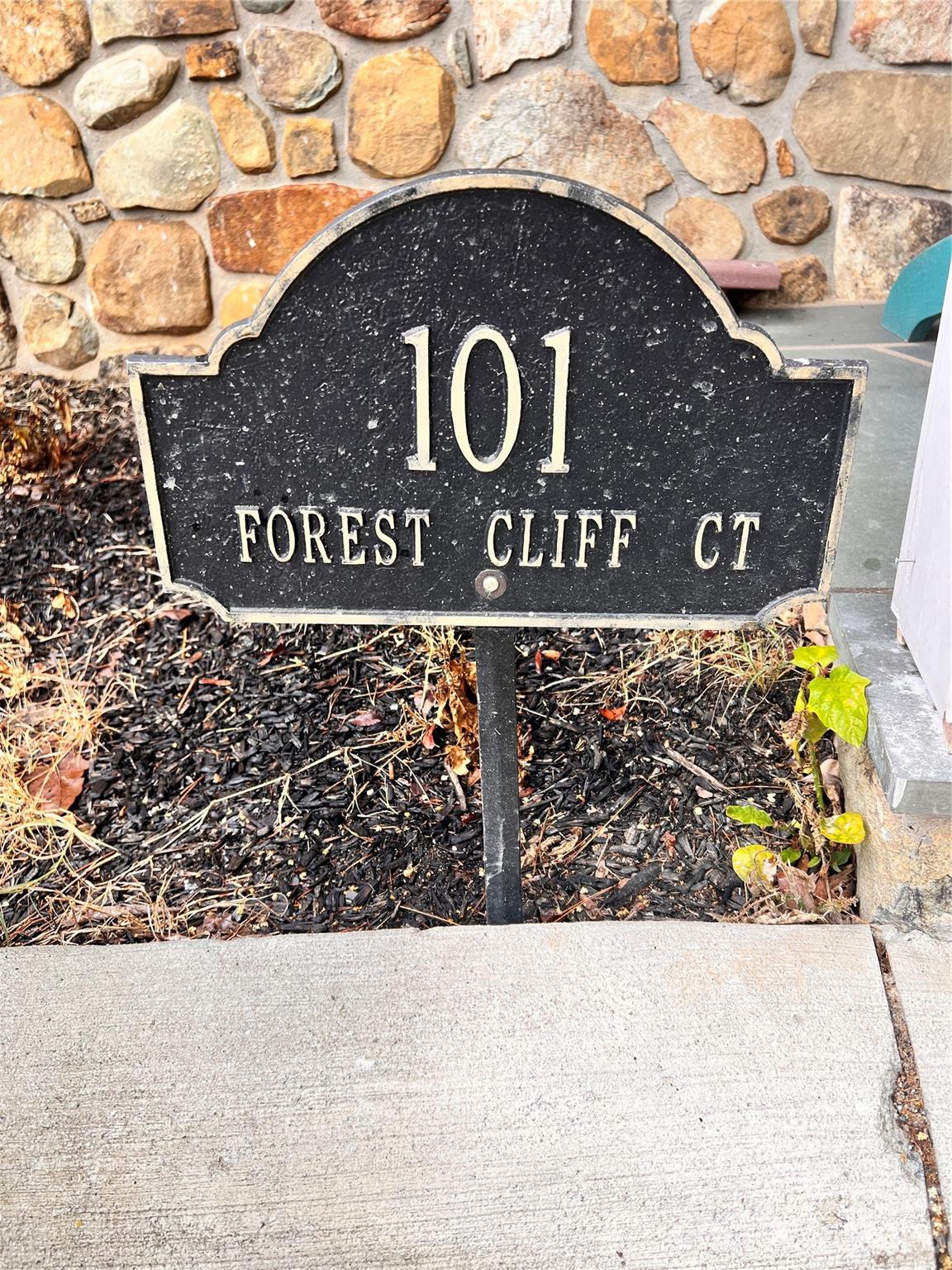 101 Forest Cliff Court Property Photo 1