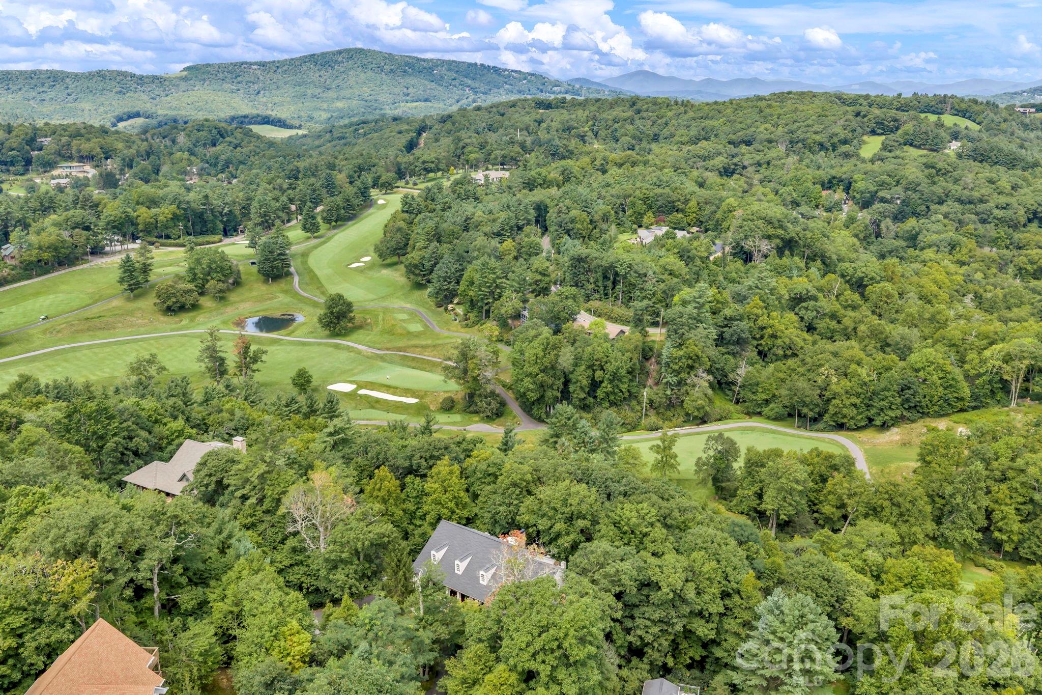 368 Green Hill Woods Property Photo 4