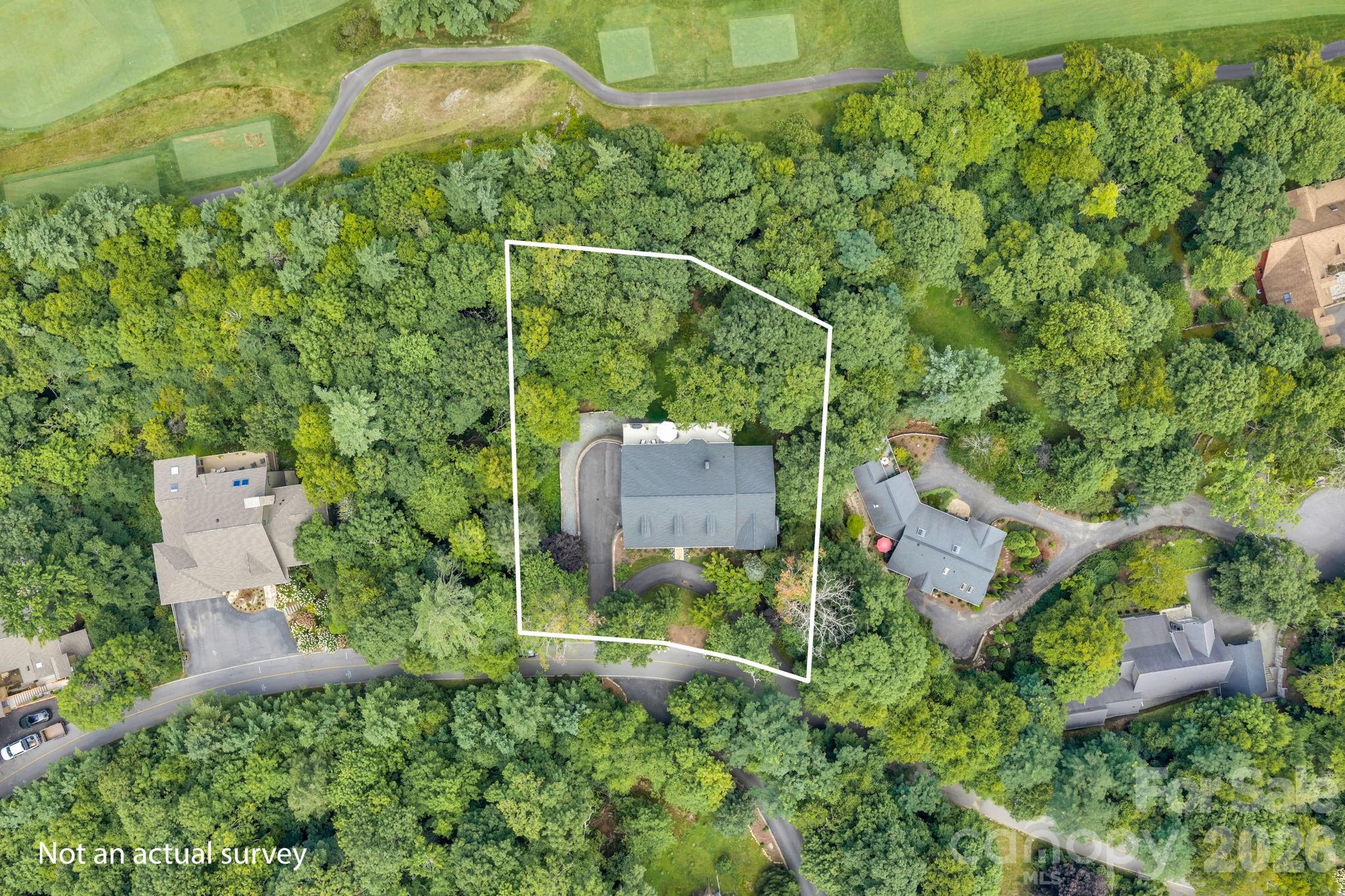 368 Green Hill Woods Property Photo 6