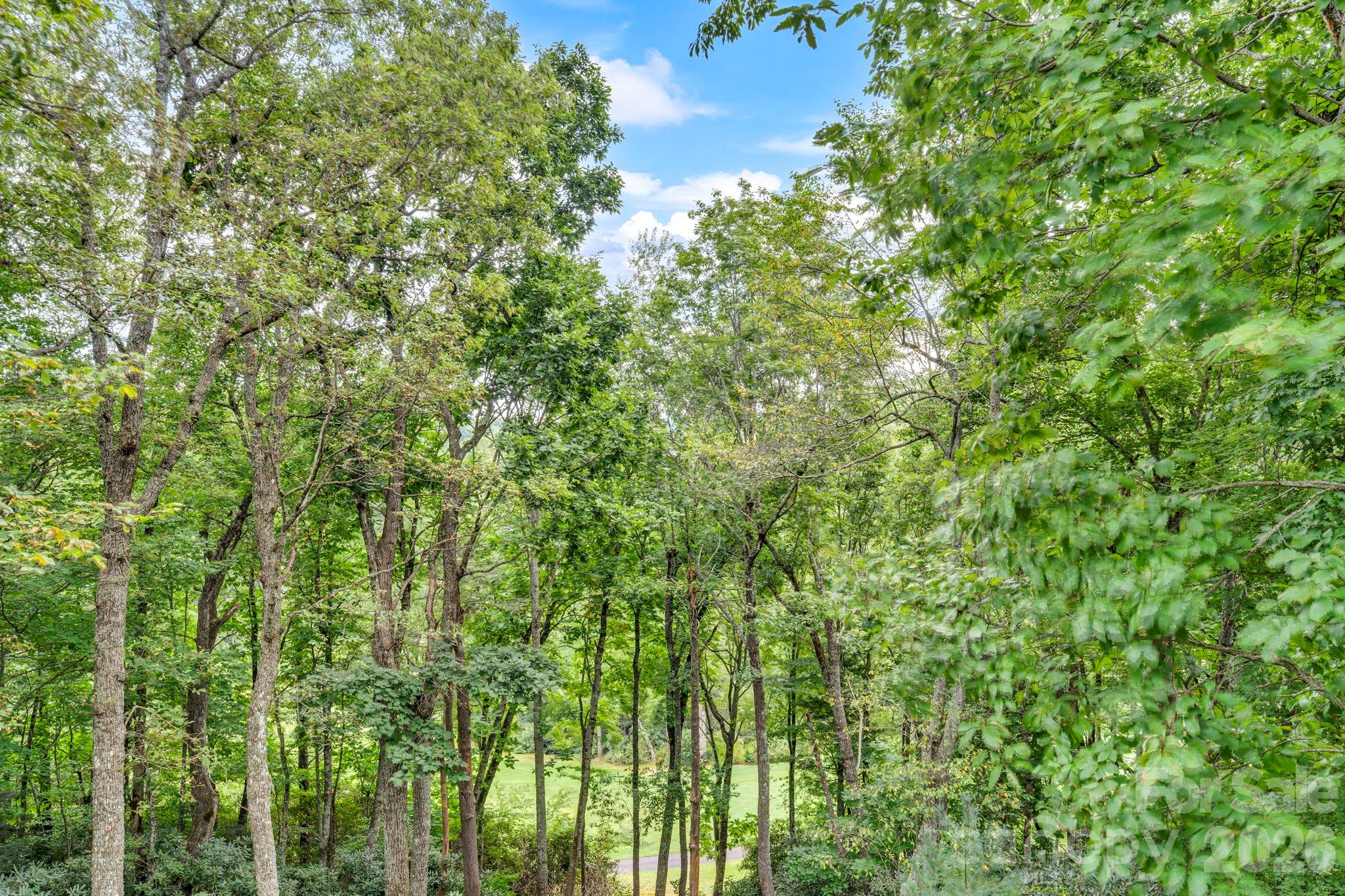 368 Green Hill Woods Property Photo 19