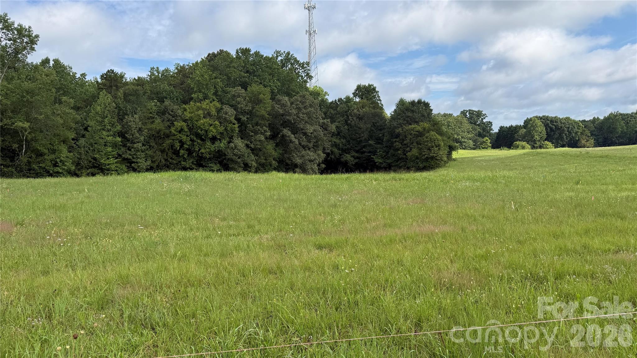 Tbd-#2 Cloninger Road 2 Property Photo 4