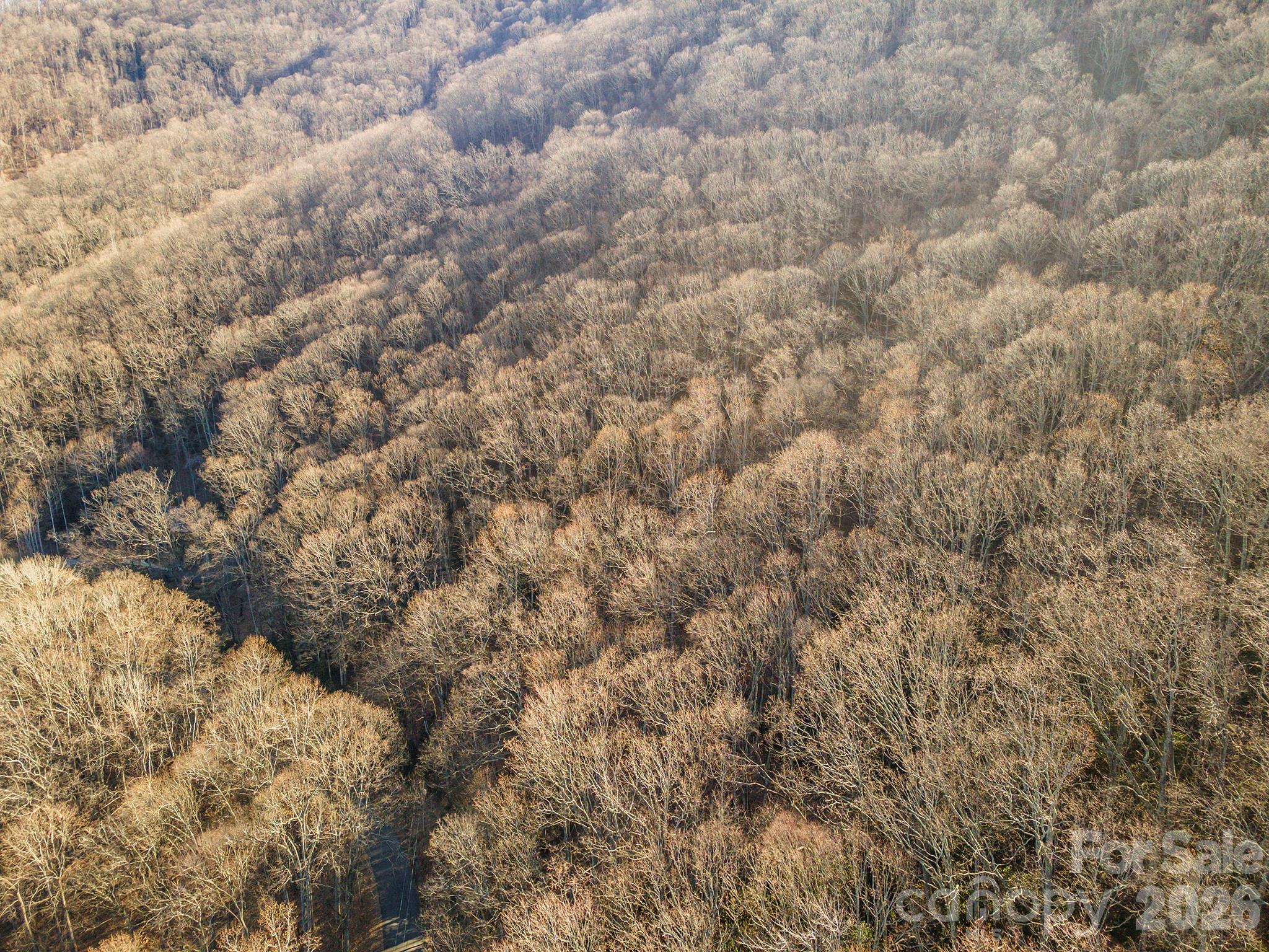 00 Wildflower Cove Road 18 Property Photo 2
