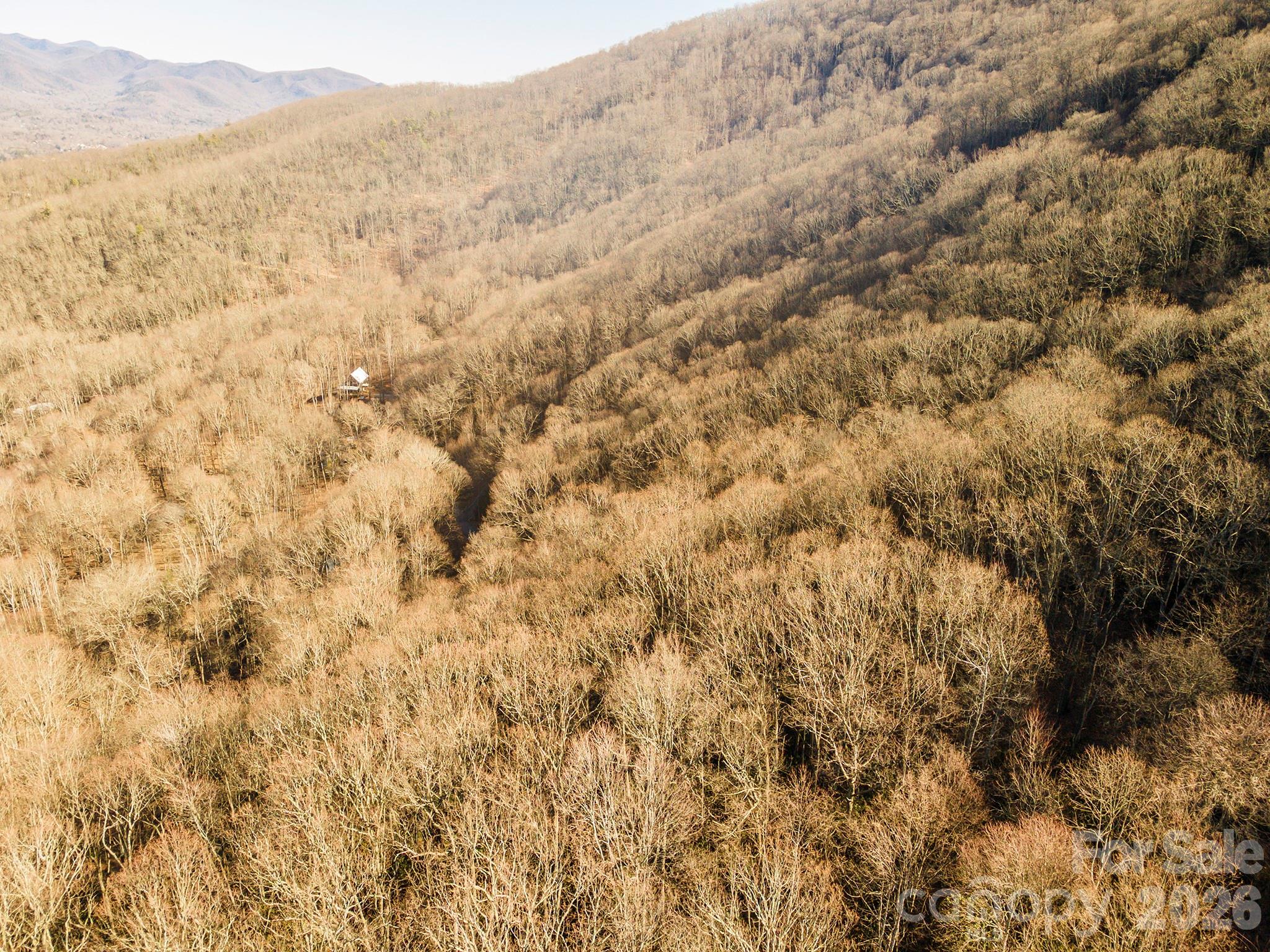 00 Wildflower Cove Road 18 Property Photo 5