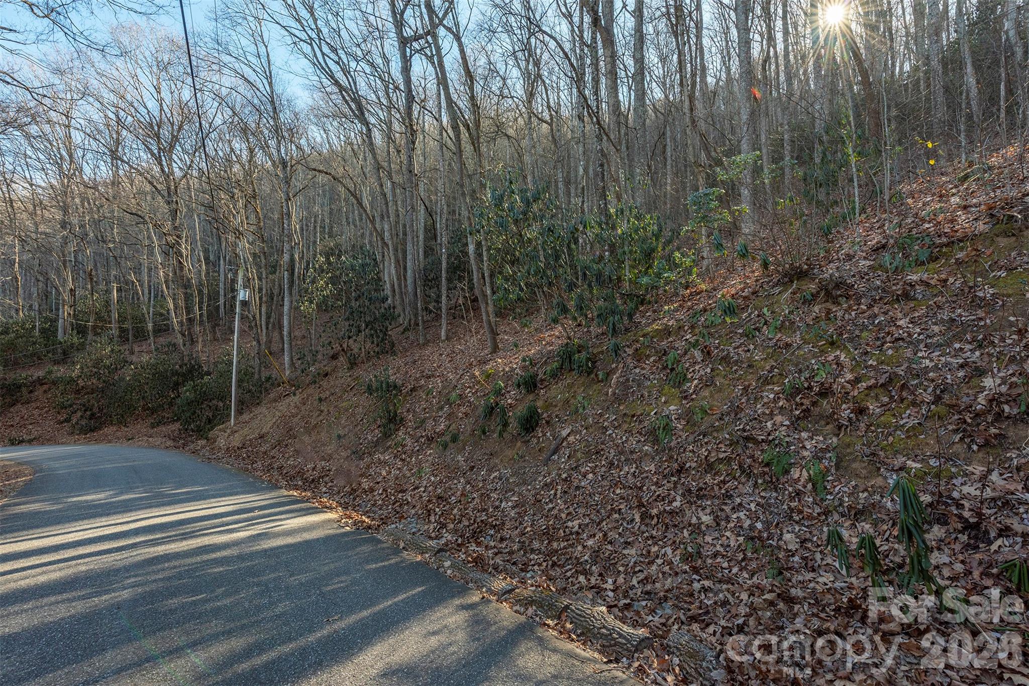 00 Wildflower Cove Road 18 Property Photo 20