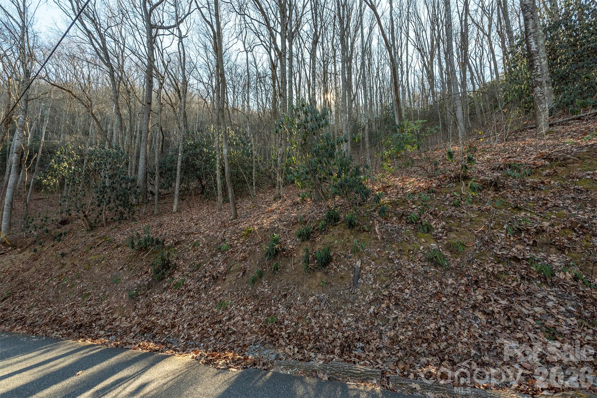 00 Wildflower Cove Road 18 Property Photo 21
