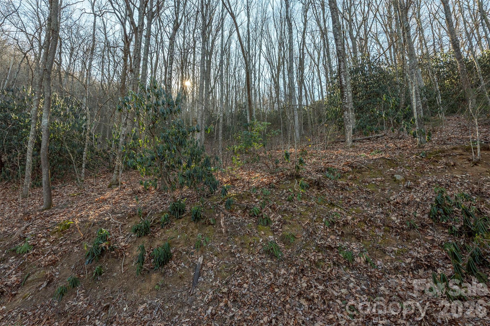 00 Wildflower Cove Road 18 Property Photo 22