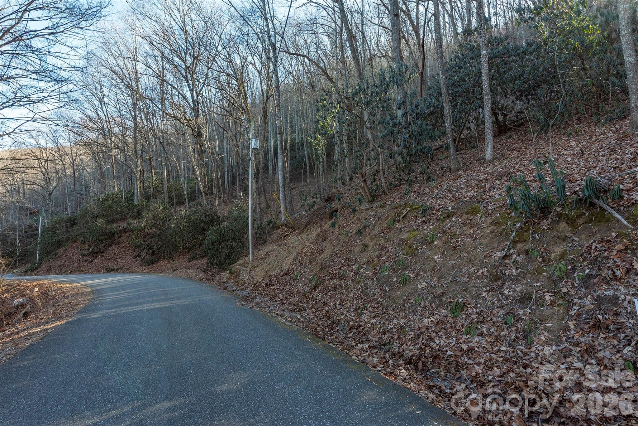00 Wildflower Cove Road 18 Property Photo 23