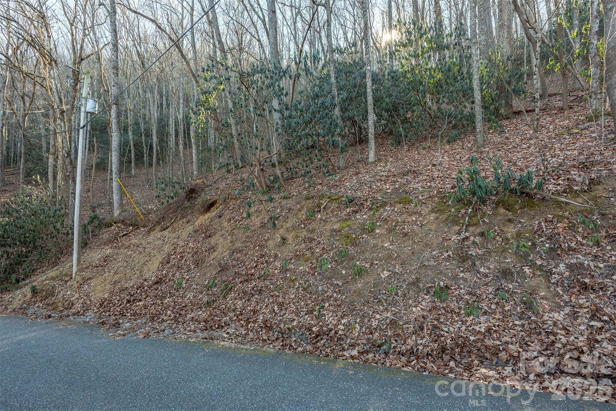 00 Wildflower Cove Road 18 Property Photo 24