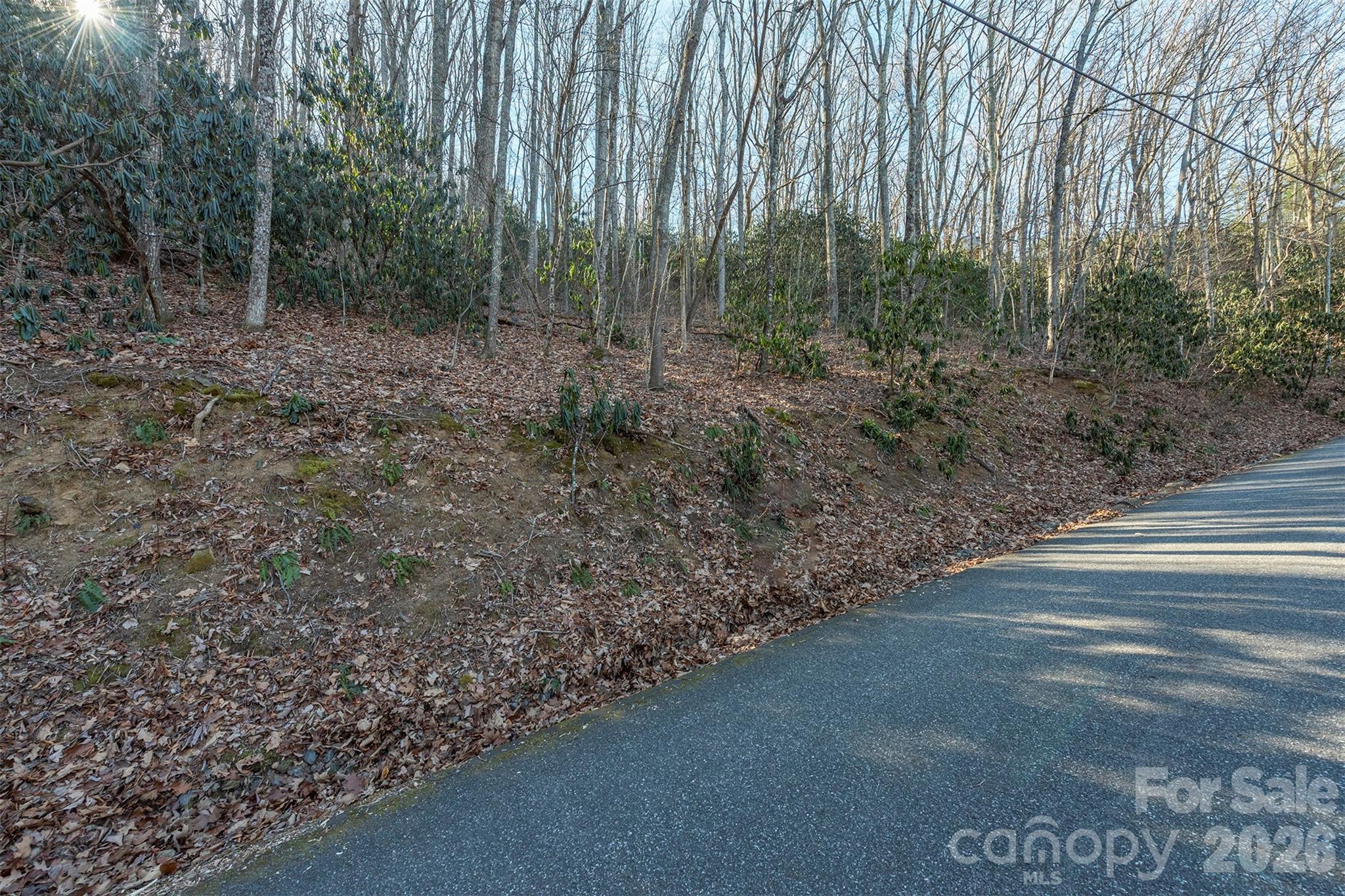 00 Wildflower Cove Road 18 Property Photo 25