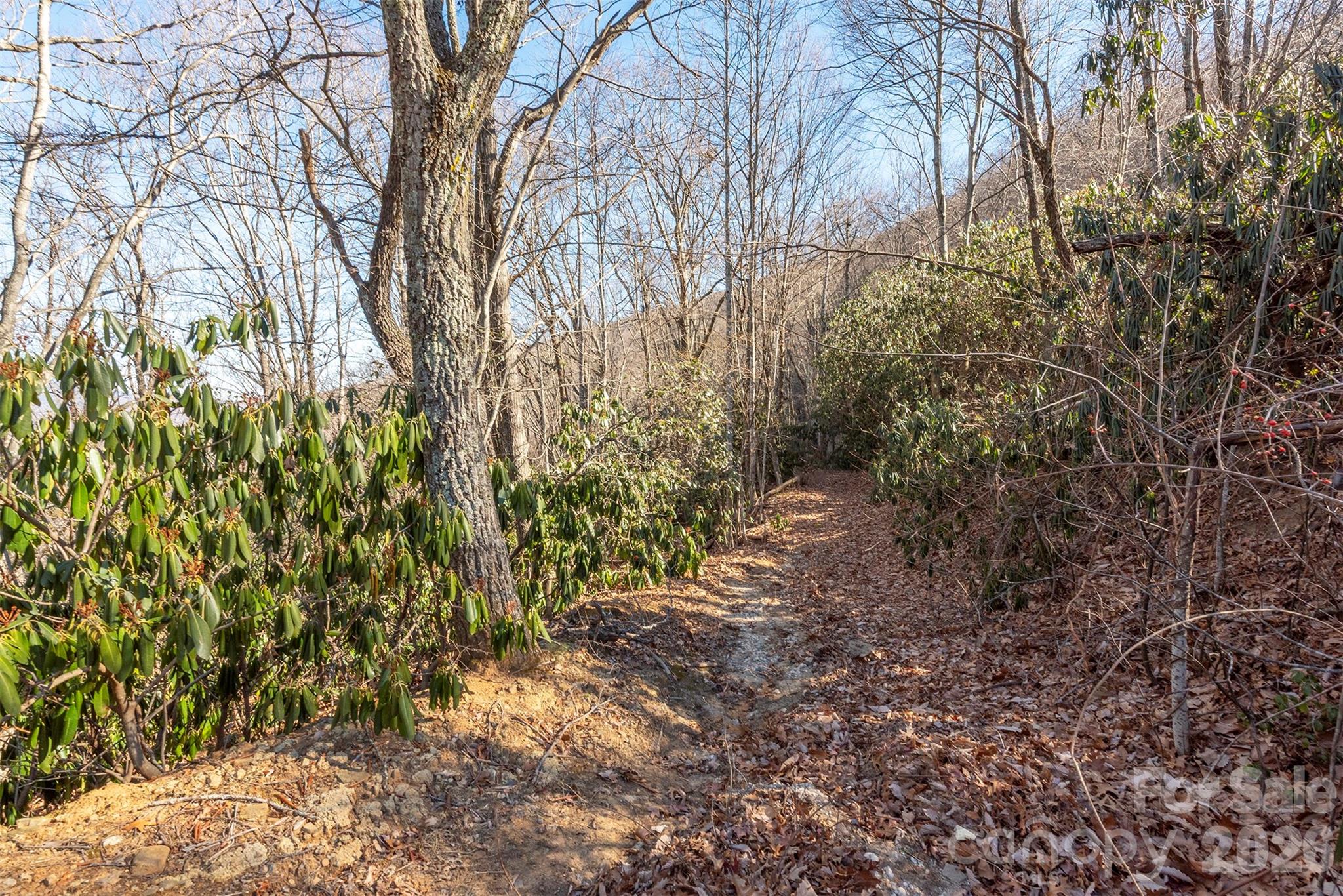 00 Wildflower Cove Road 18 Property Photo 28