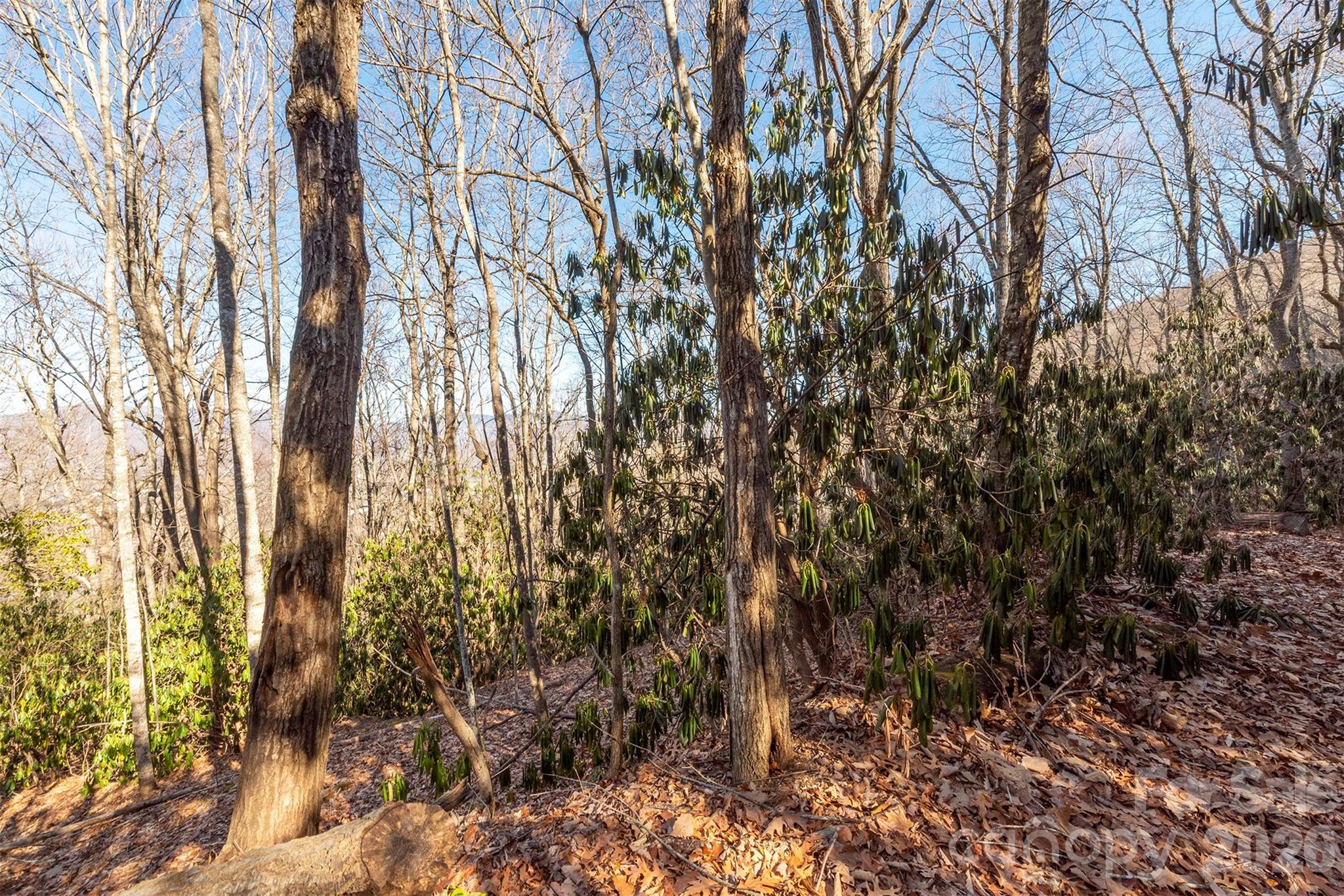 00 Wildflower Cove Road 18 Property Photo 29