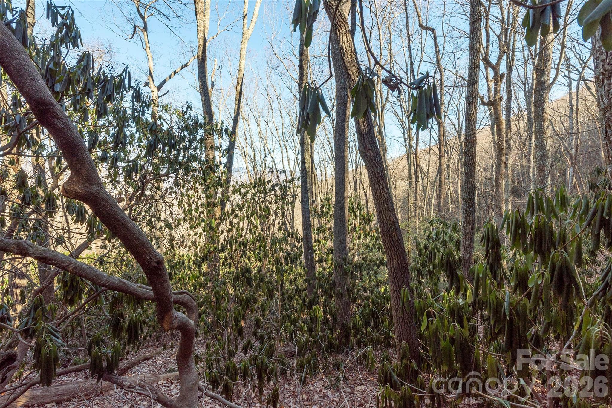 00 Wildflower Cove Road 18 Property Photo 30