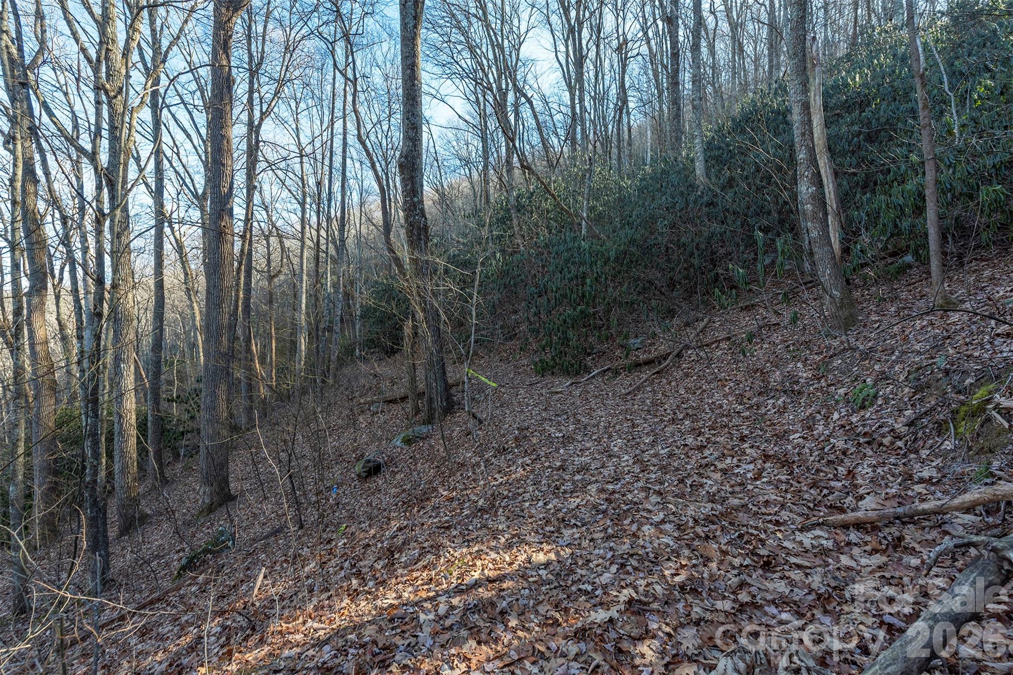 00 Wildflower Cove Road 18 Property Photo 31