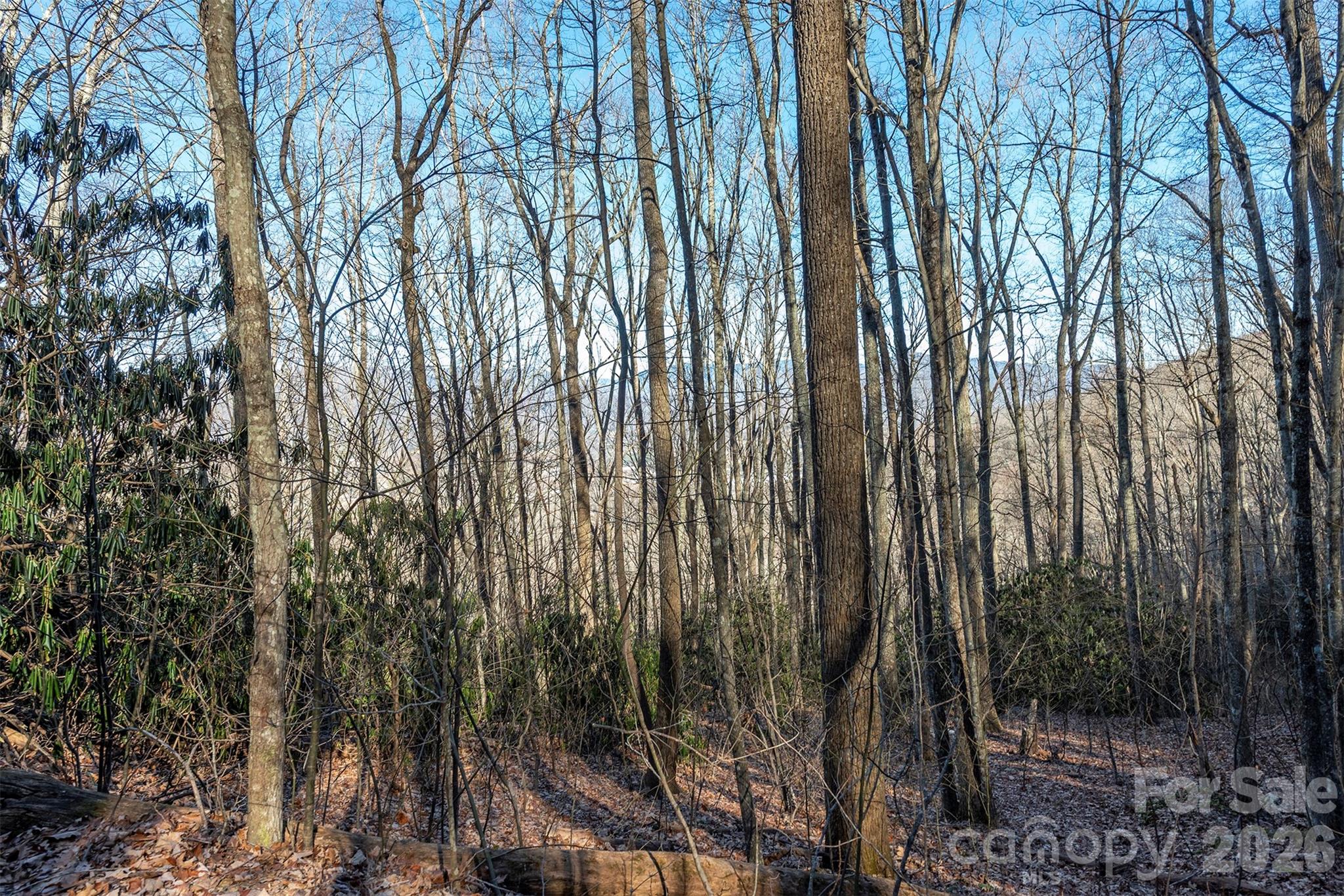 00 Wildflower Cove Road 18 Property Photo 33