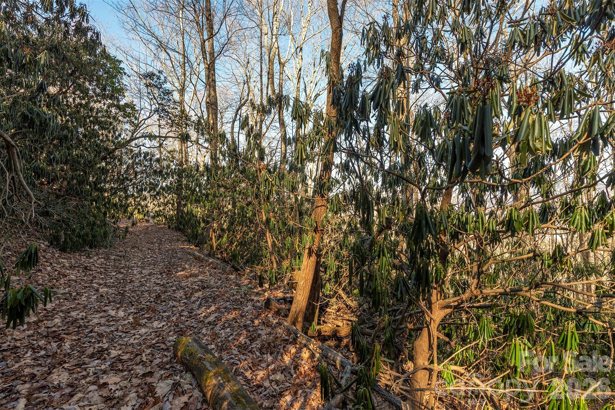 00 Wildflower Cove Road 18 Property Photo 34