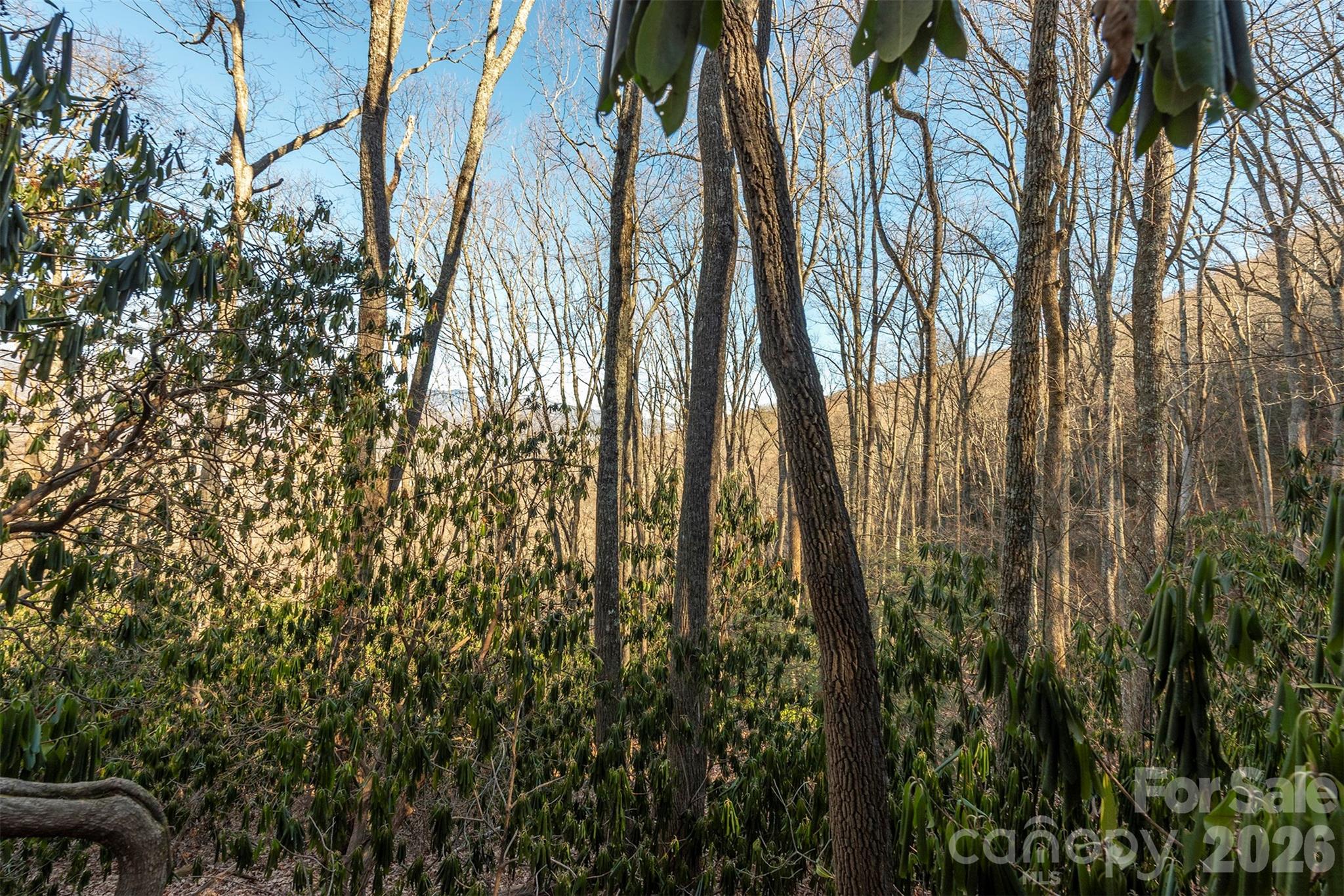 00 Wildflower Cove Road 18 Property Photo 35