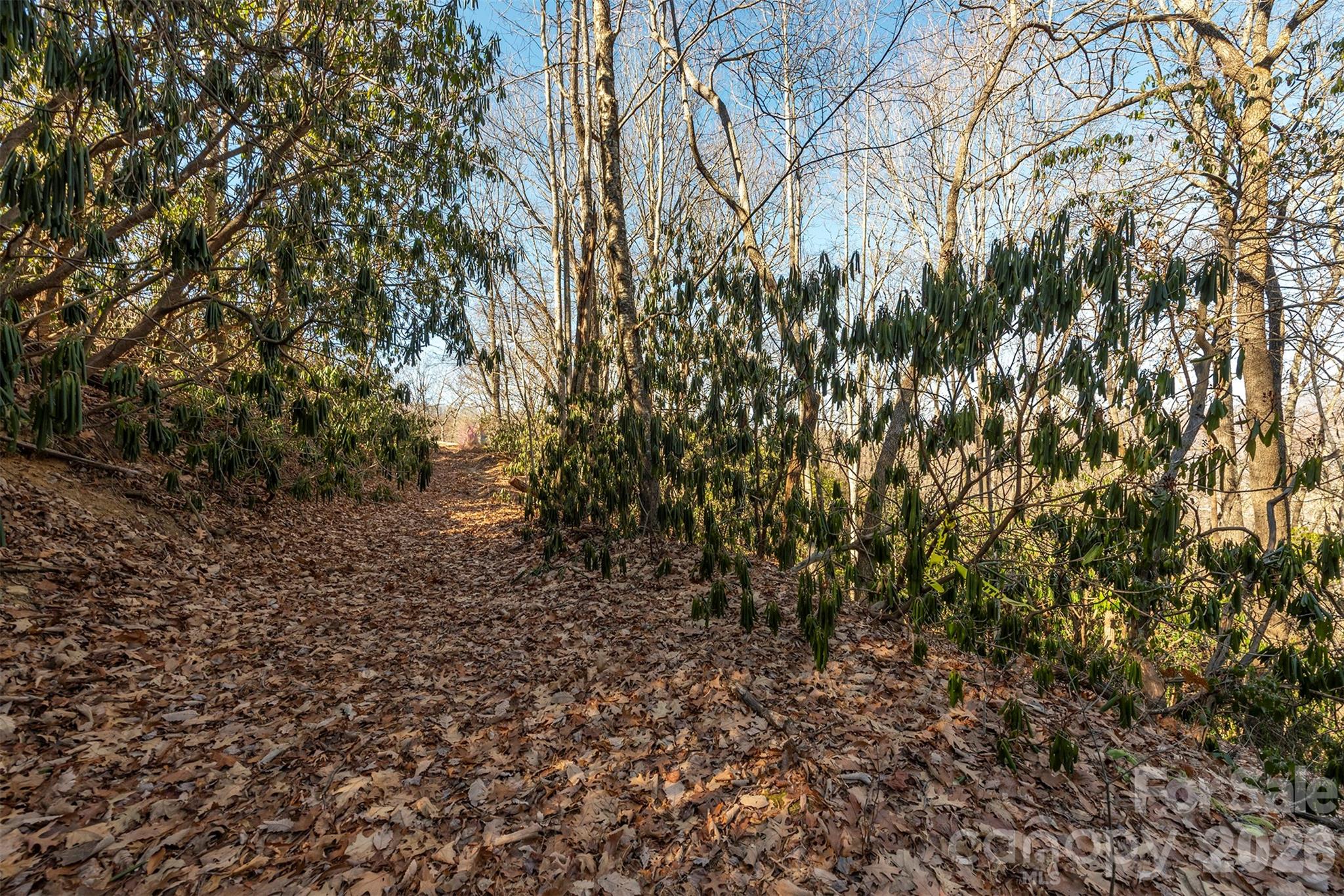 00 Wildflower Cove Road 18 Property Photo 36