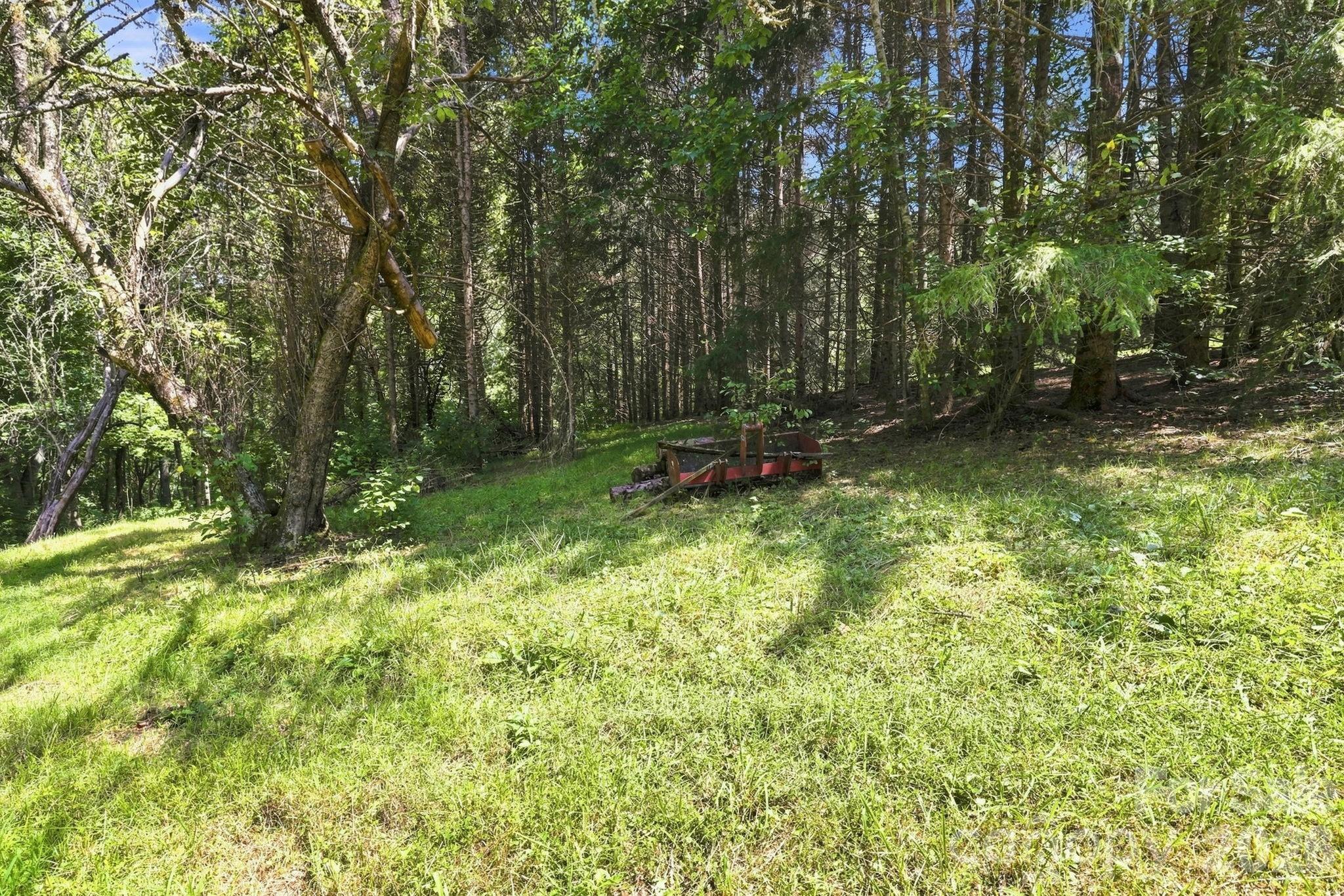 518 Nicholson Cove Road Property Photo 35