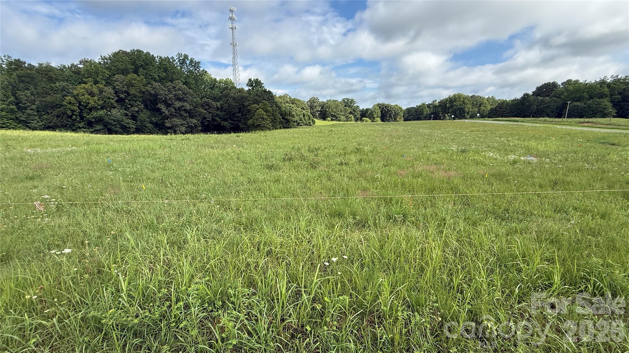 TBD-#1 Cloninger Road 1 Property Photo 1