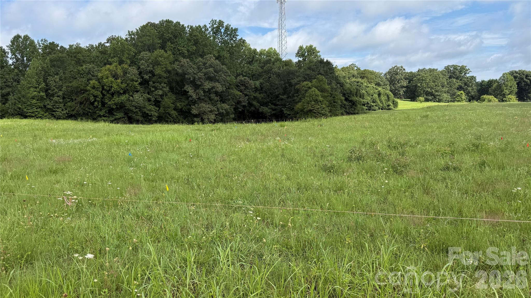 Tbd-#1 Cloninger Road 1 Property Photo 3