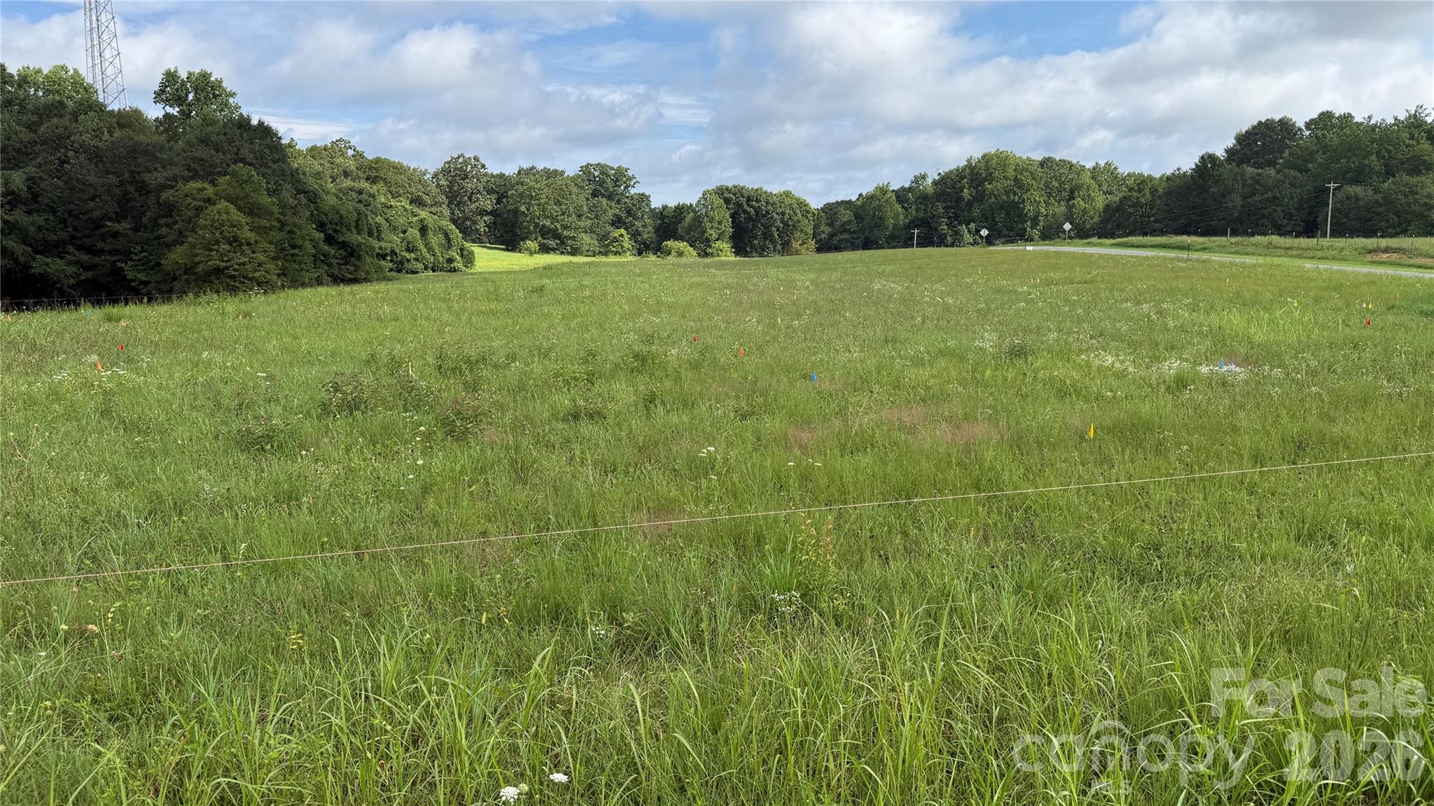 Tbd-#1 Cloninger Road 1 Property Photo 4