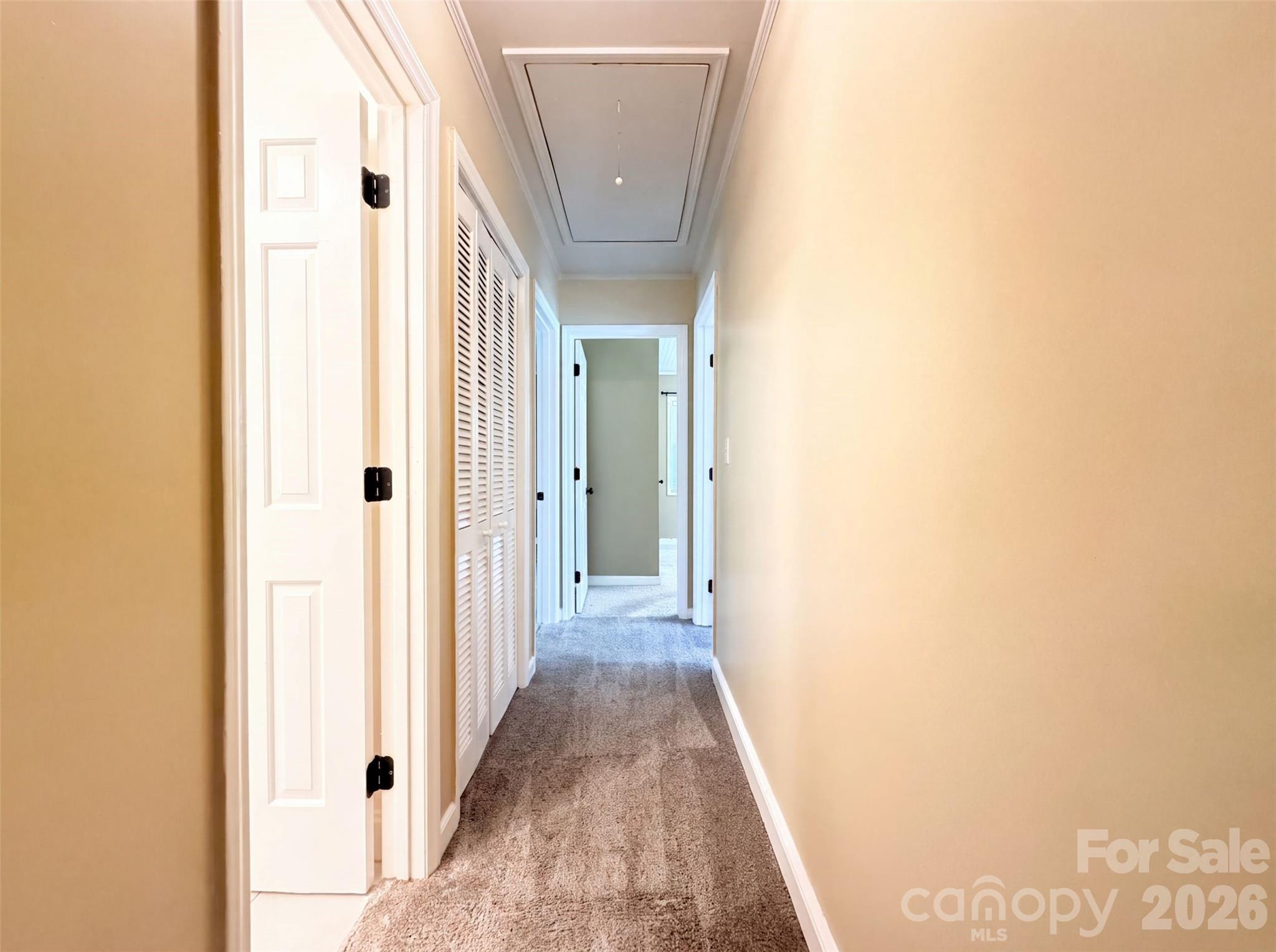 4600 Carving Tree Drive Property Photo 19