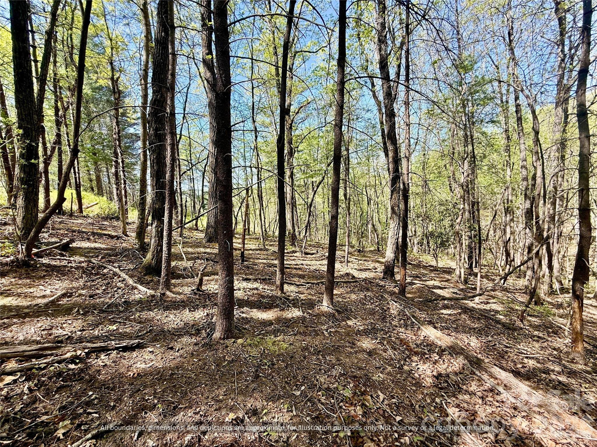 99999 Big Rock Lane 8-10 Property Photo 12