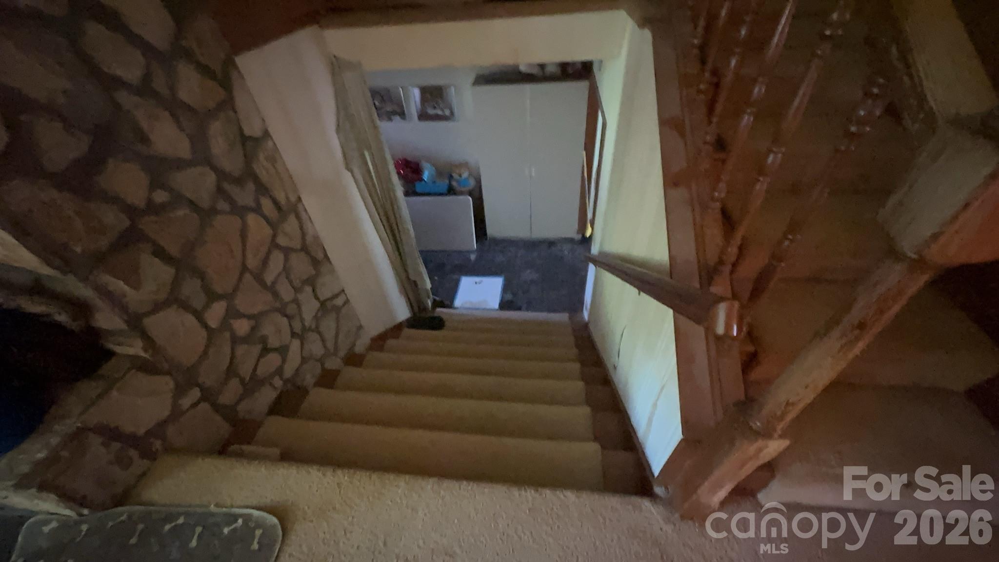 4294 Horseshoe Bend Road Property Photo 25
