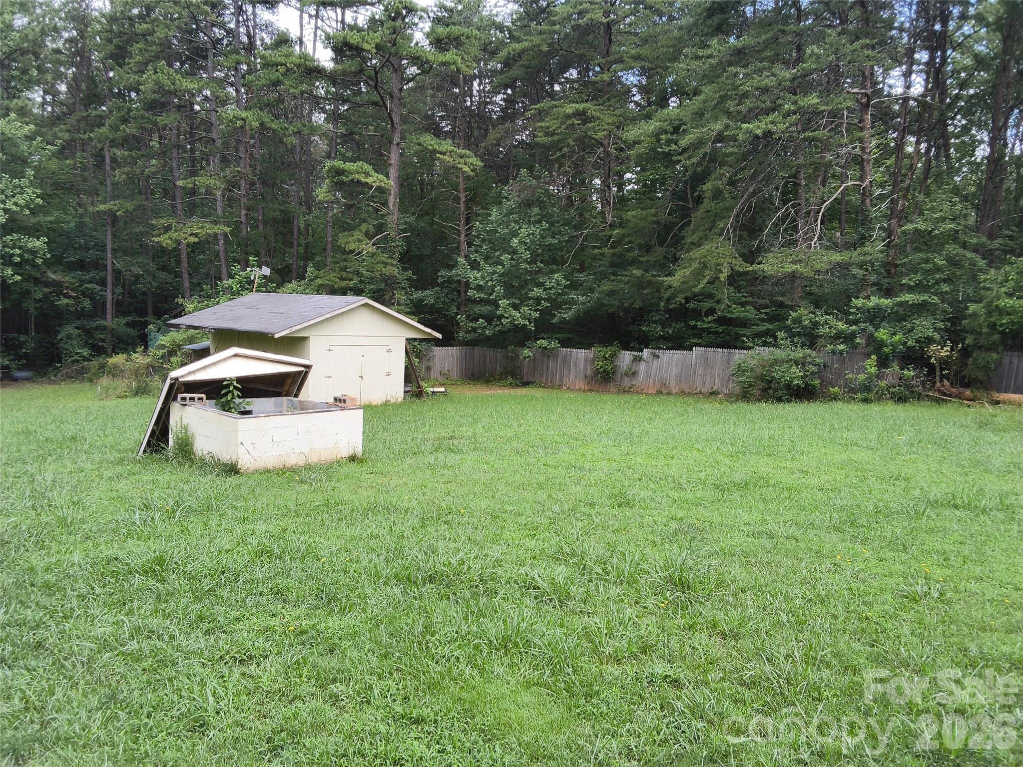 1981 Mollys Backbone Road Property Photo 6