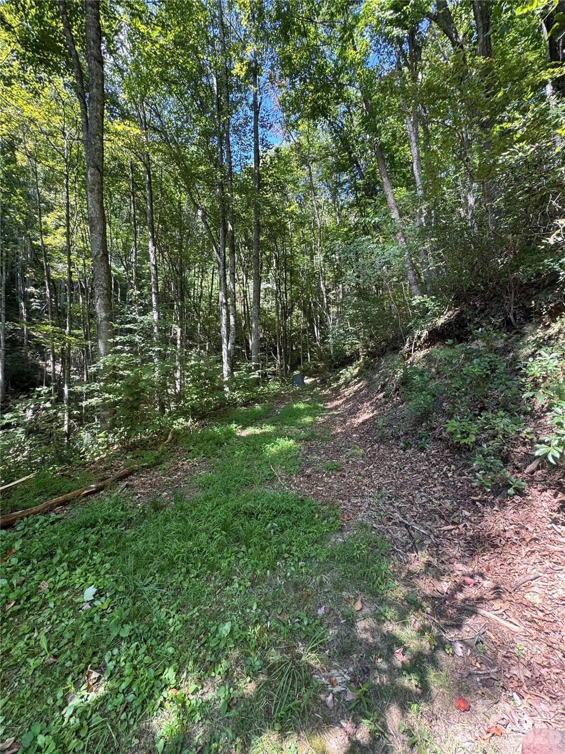 287 Tracking Elk Trail Property Photo 37
