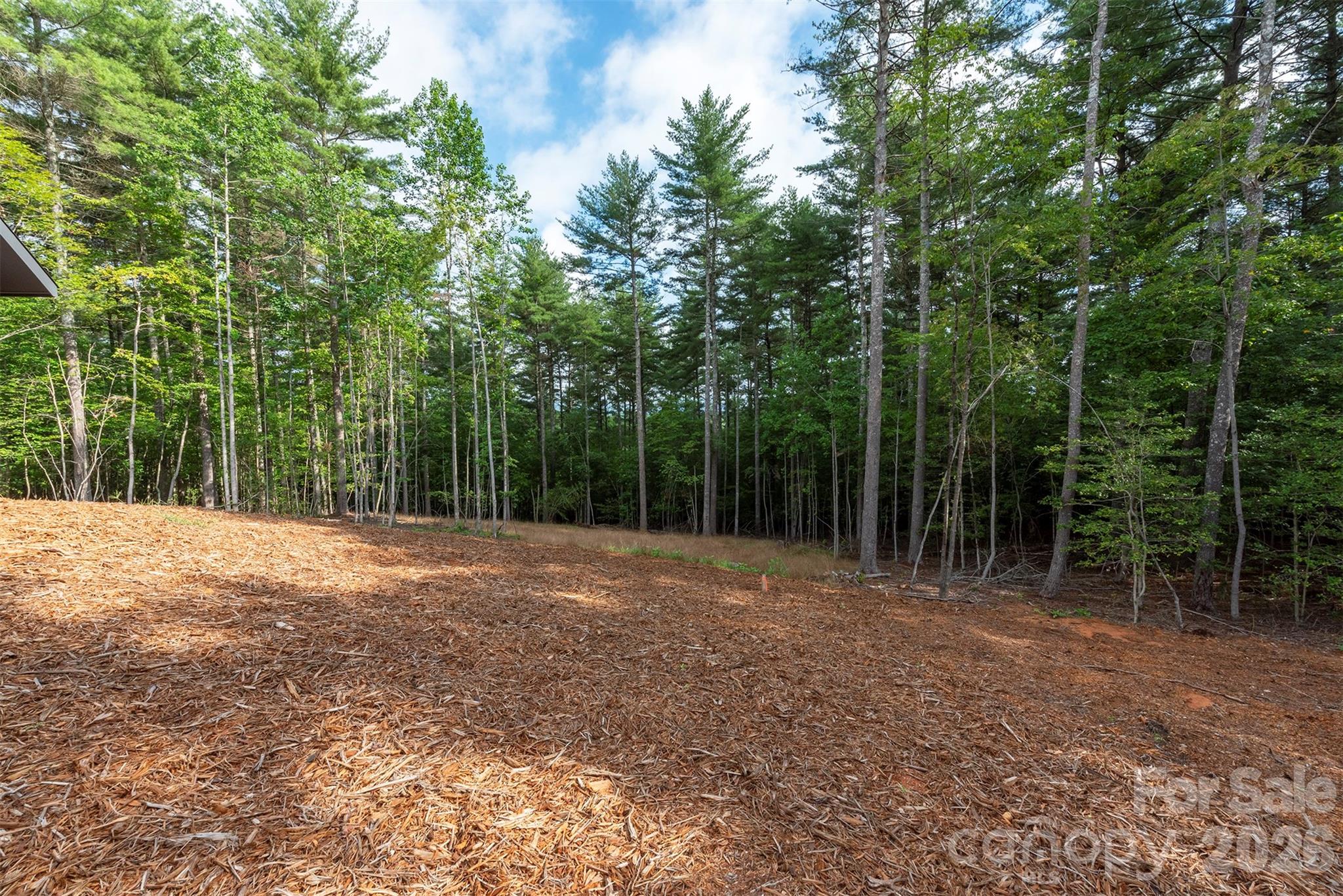 1156 Campbells Trace Property Photo 32